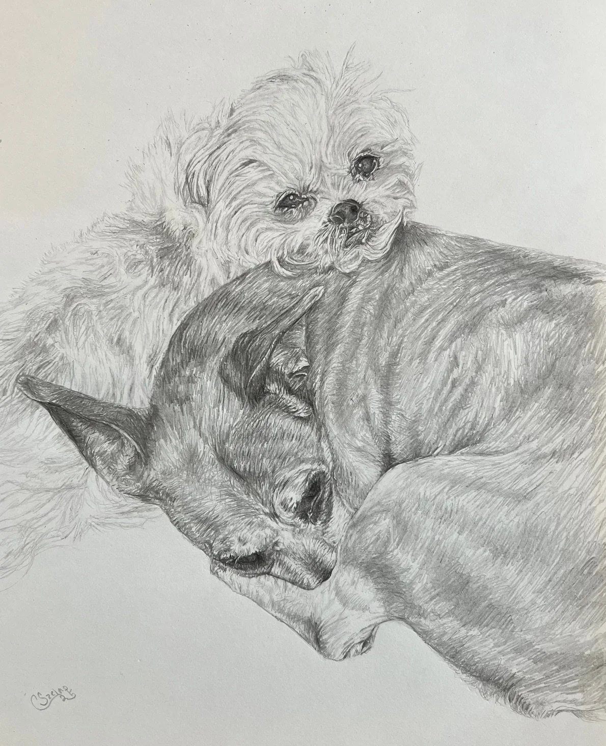 Puppy Love