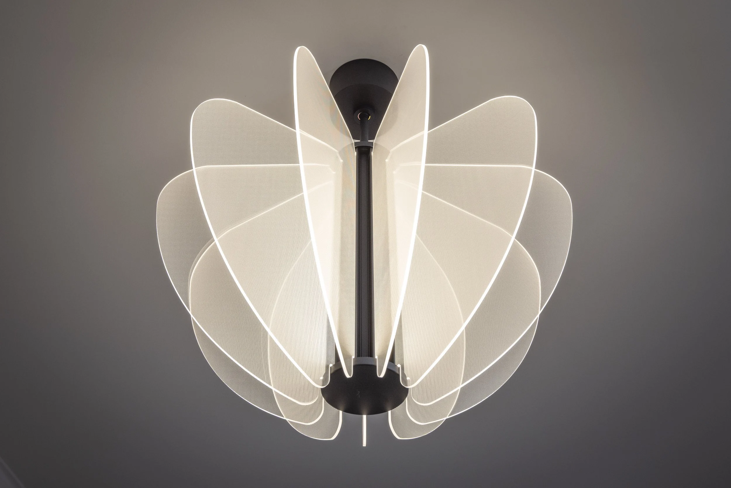 ENTRY_LIGHT(1).jpg