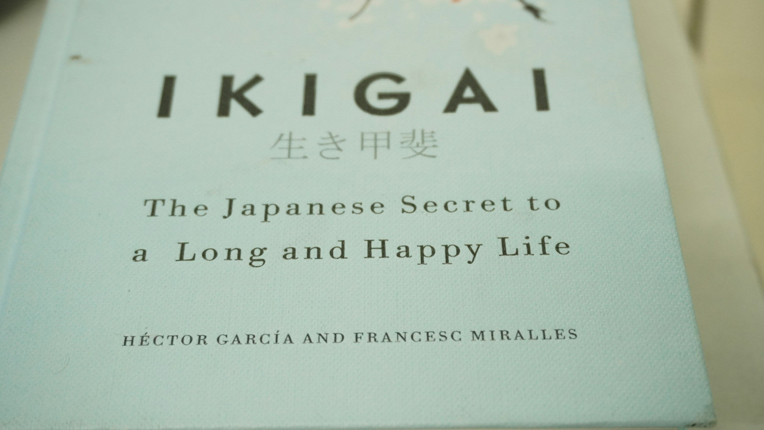 IKIGAI meets LEGO® Serious Play®