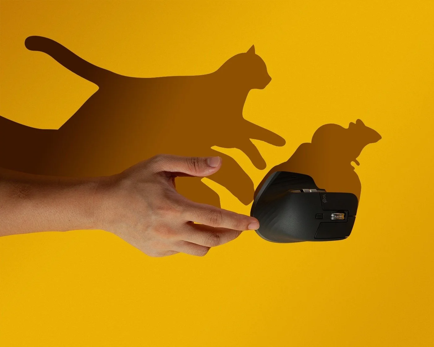 Mouse-296+%5Bweb%5D.jpg