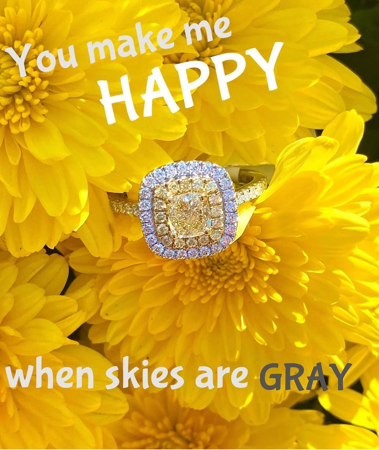 Screenshot 2022-02-25 at 2.33.45 PM.jpeg