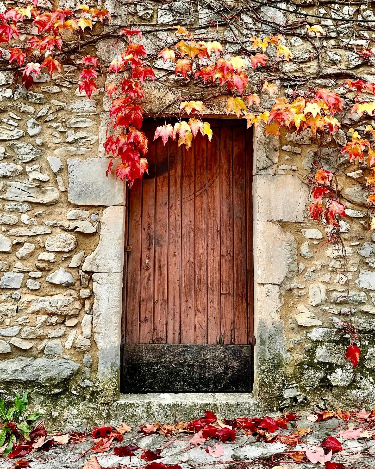 Herfst in de Gard 🍂🍁