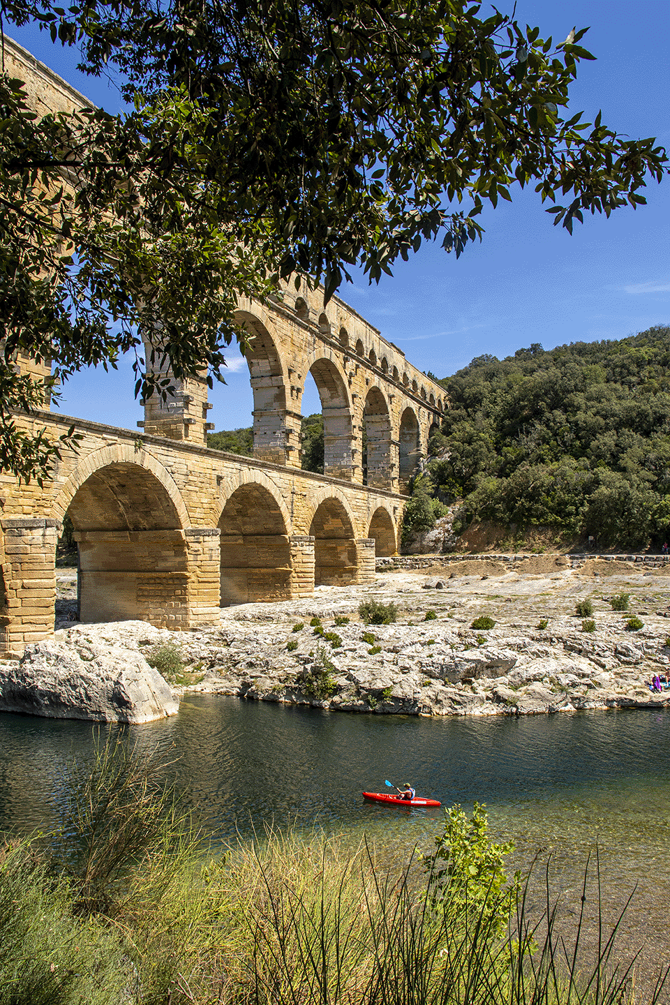 OMSLAG 4655_klein.png