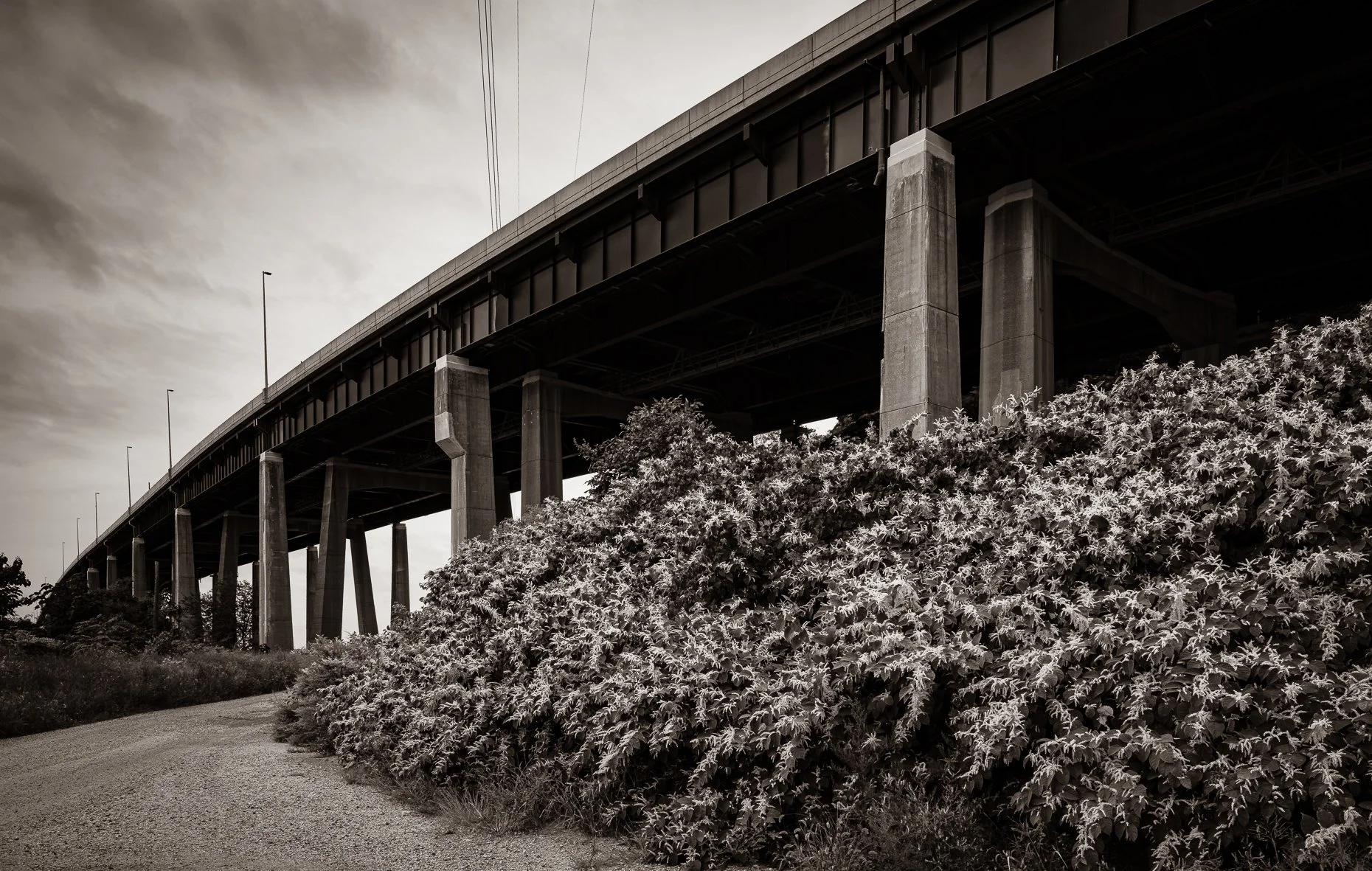 Overpass  New Jersey.jpg