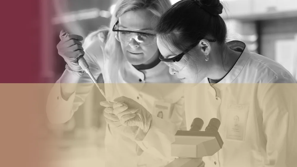 FSU BIOMEDICAL ENGINEERING COURSES visual data 6