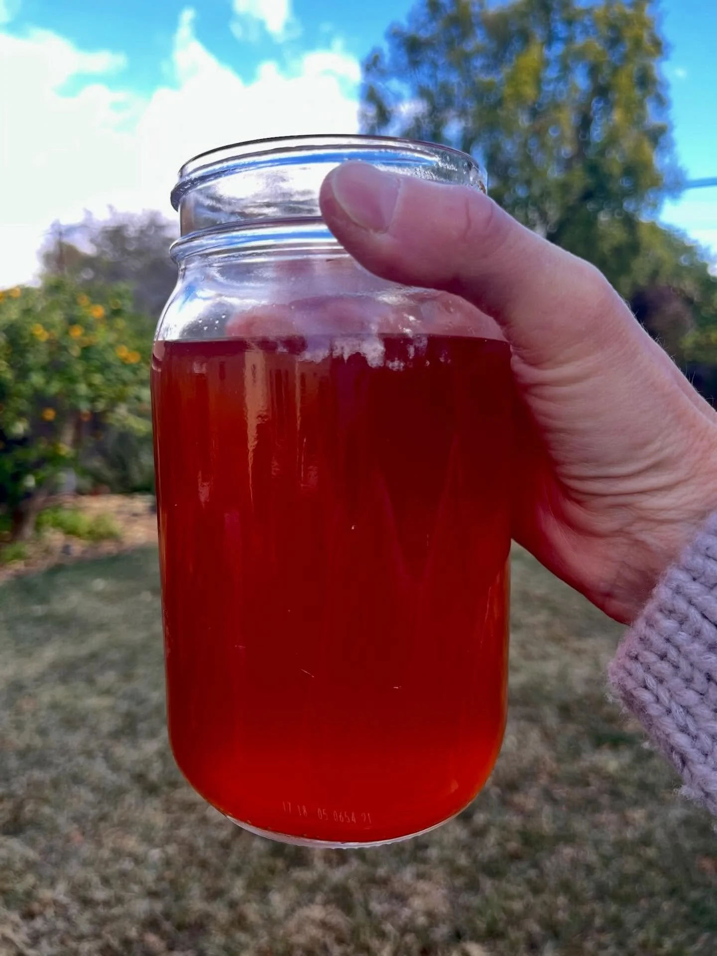 2025

A year of new designs, working with new dye plants, and going bigger.

I&rsquo;m deeply grateful for all of you and your support.