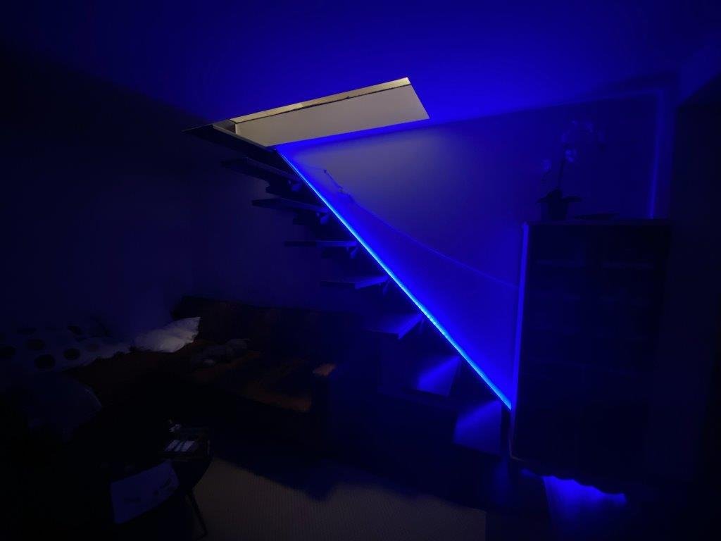 1ZD20220726_193757043_iOS.jpg