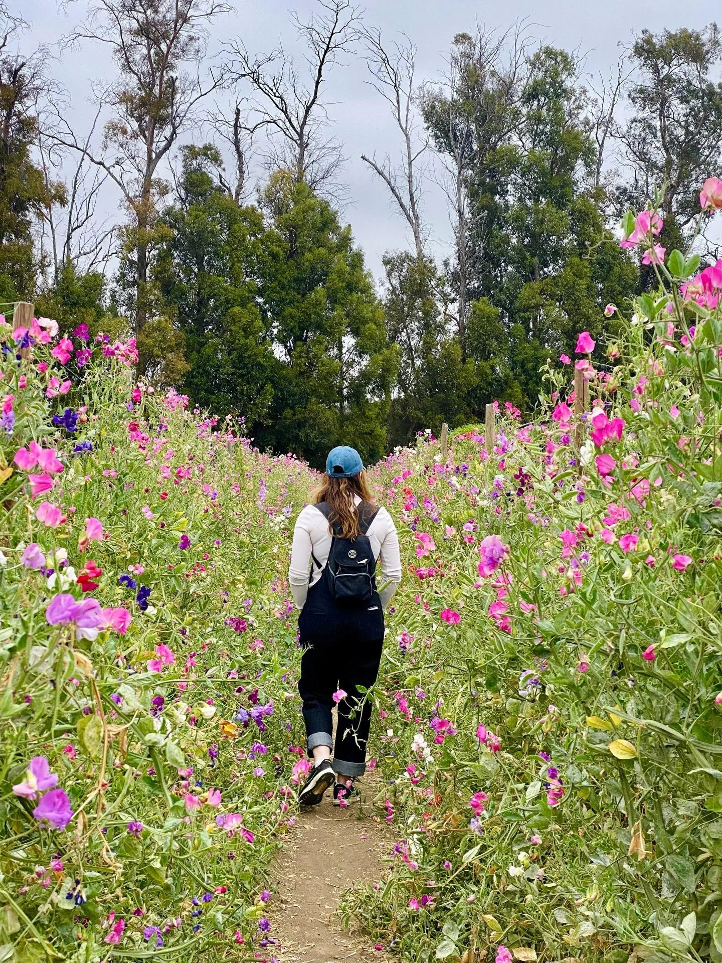 I hate to tell you this but&hellip;

Social media can&rsquo;t be an afterthought in your business 🤷&zwj;♀️

I know you didn&rsquo;t start your business to be a marketing expert. I know how much time it takes to put together posts.

But social media 