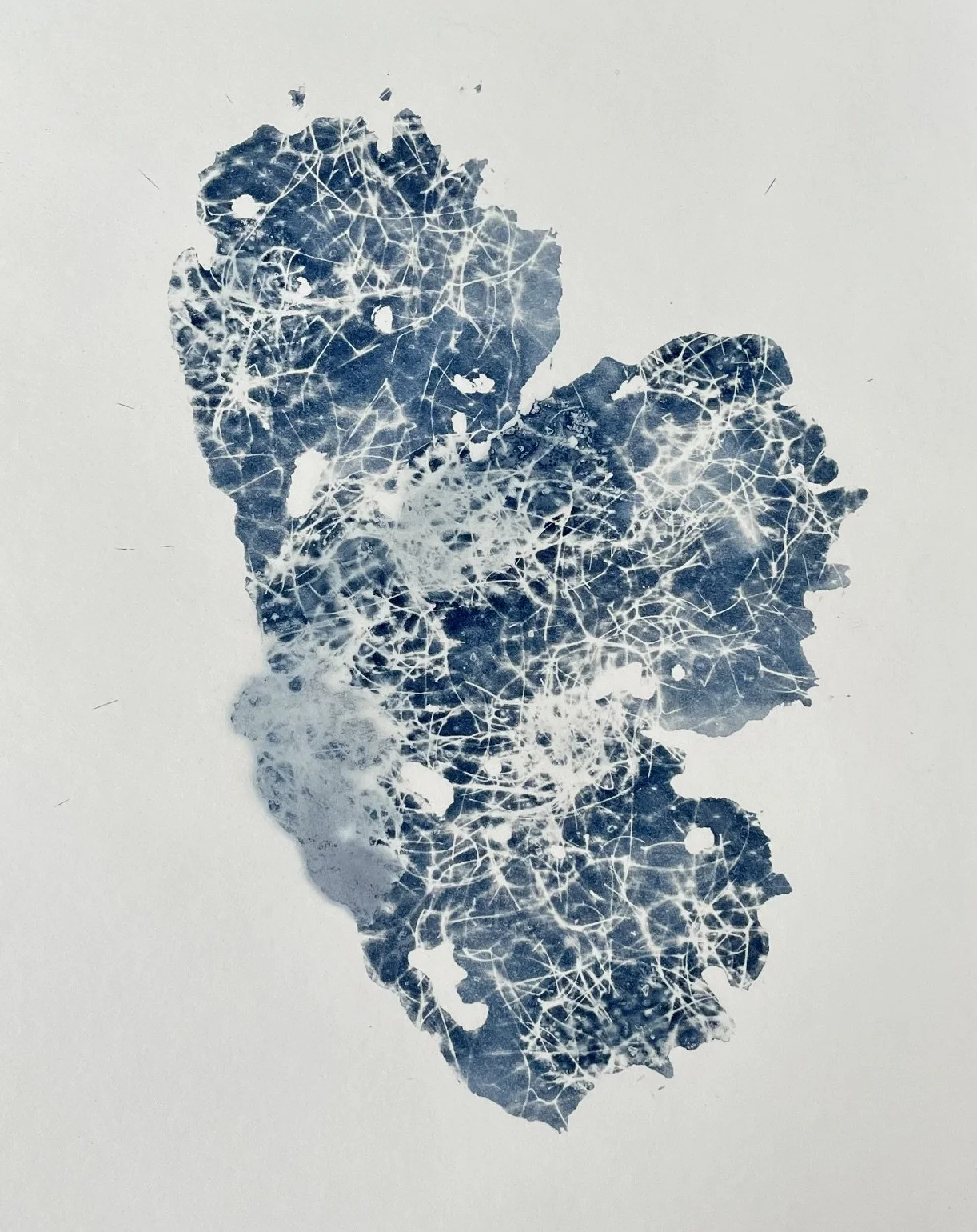 Cicada Calls 
(Spring Returns with a Whisper: Pisces Season Collection 2022)
5"x7" 
Botanical Cyanotype on watercolor paper
created with sea salt, collections from the garden and sea
SOLD