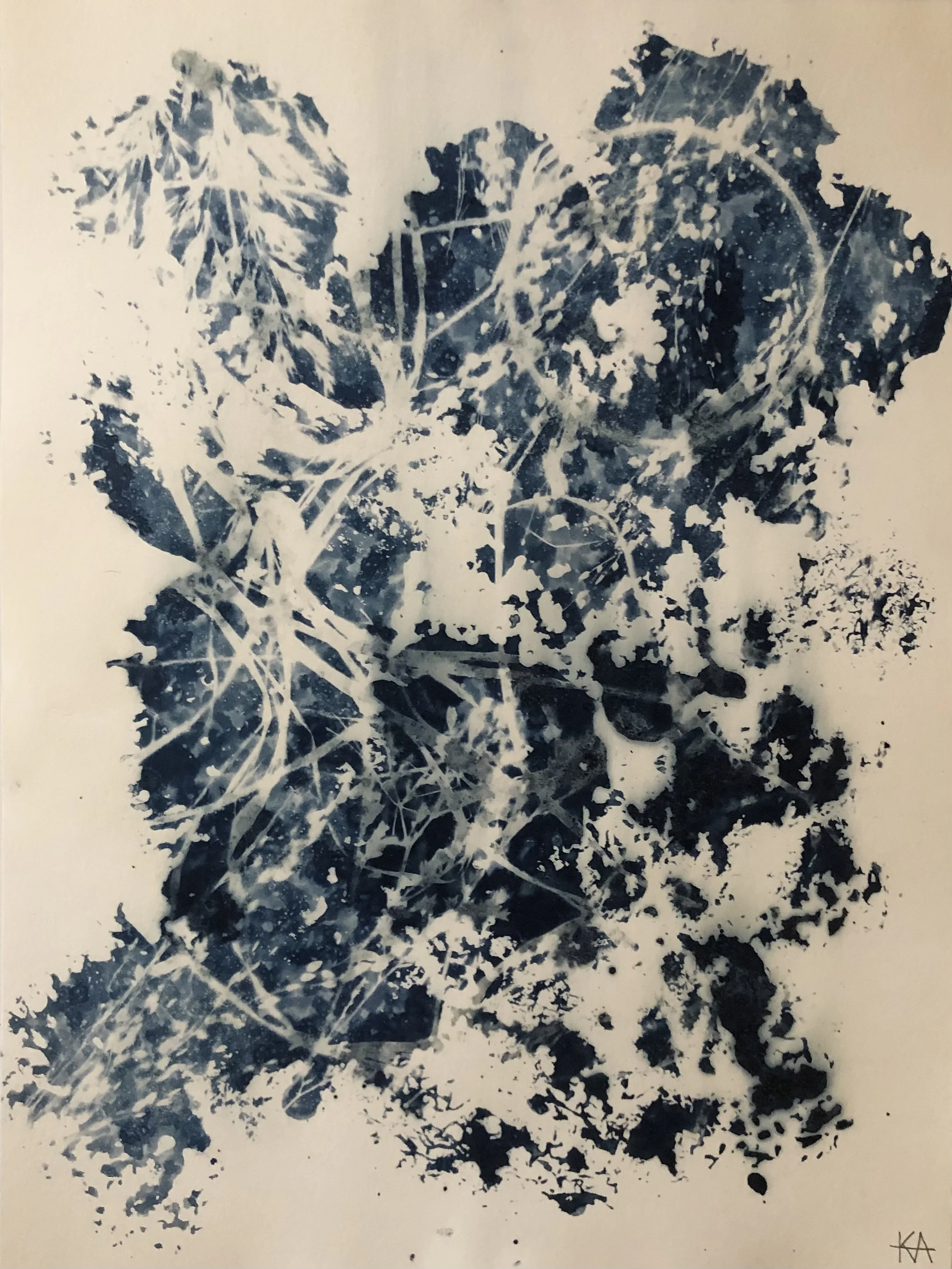 Fluid
9”x12”
Botanical Cyanotype on watercolor paper
created with sea salt, collections from the garden 
$125 (framed)