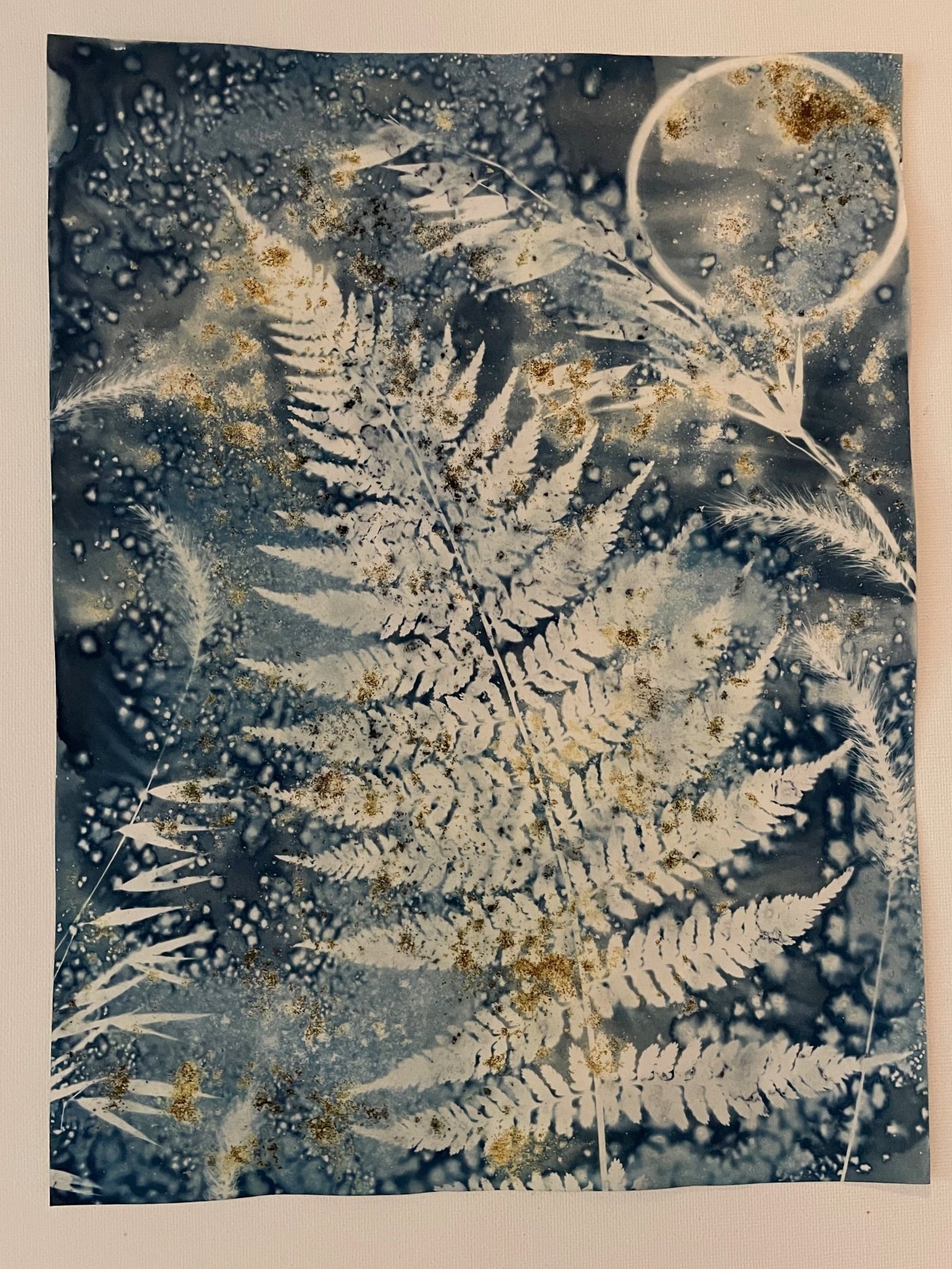 Wild Cosmos
9”x12”
Botanical Cyanotype on watercolor paper
created with sea salt, turmeric, and collections from the garden 
SOLD