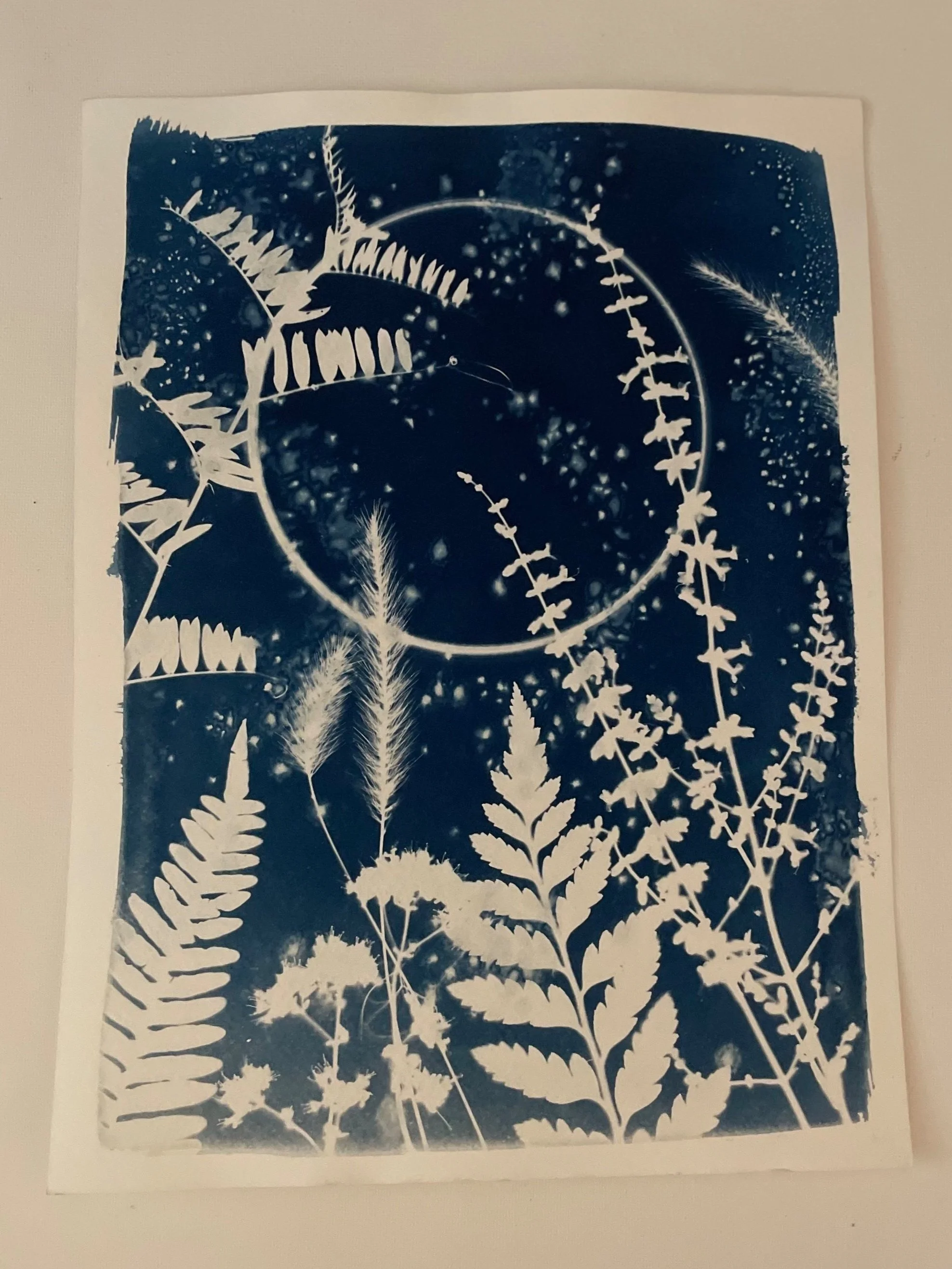 She’s Closer Now
9”x12”
Botanical Cyanotype on watercolor paper
created with sea salt and collections from the garden 
Donated to The Torchbearer Raffle
