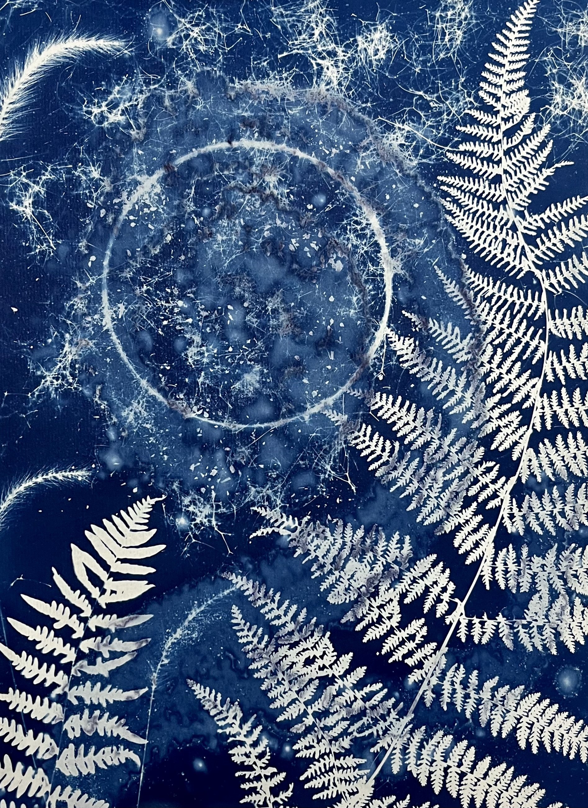 Life on Europa
11”x15”
Botanical Cyanotype on watercolor paper created with sea salt, herbs, spices, collections from the woods, crafted during the witching hours
SOLD