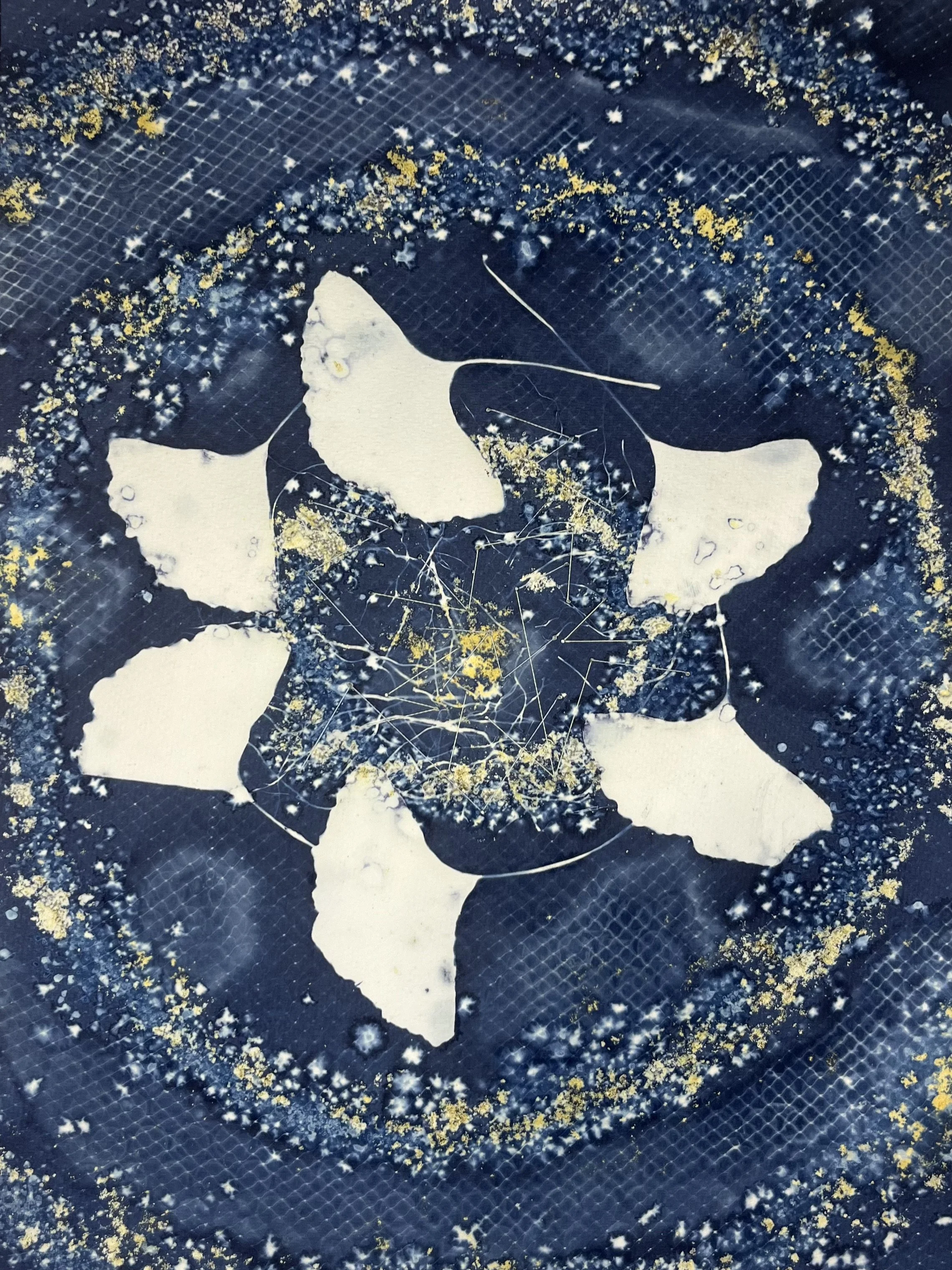 The Gingko Balance: mixed media cyanotype for In-Between Exhibition (2025) 