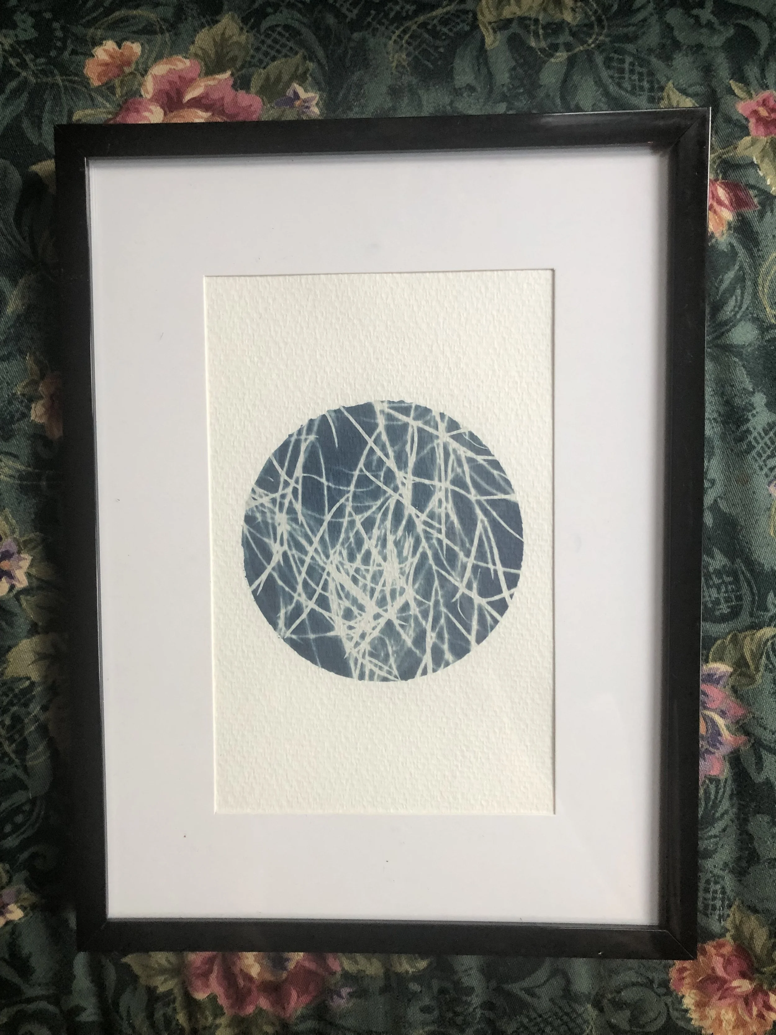 Alien Specimen: Agatha
4"x6" 
sold