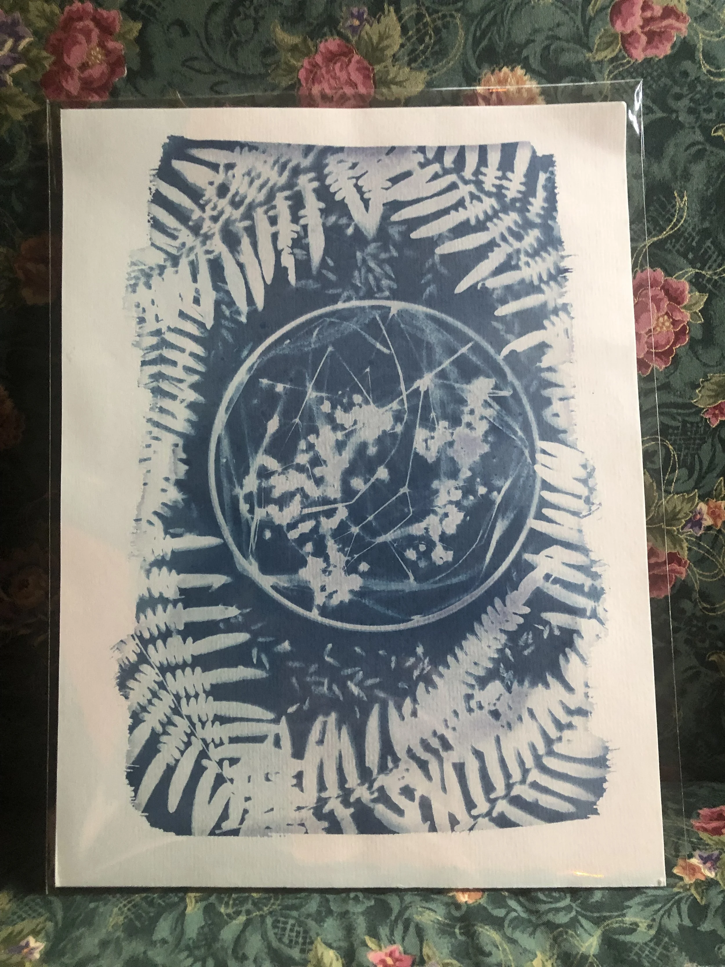 Eve
9"x12"
Available at Homegrown (Providence, RI)