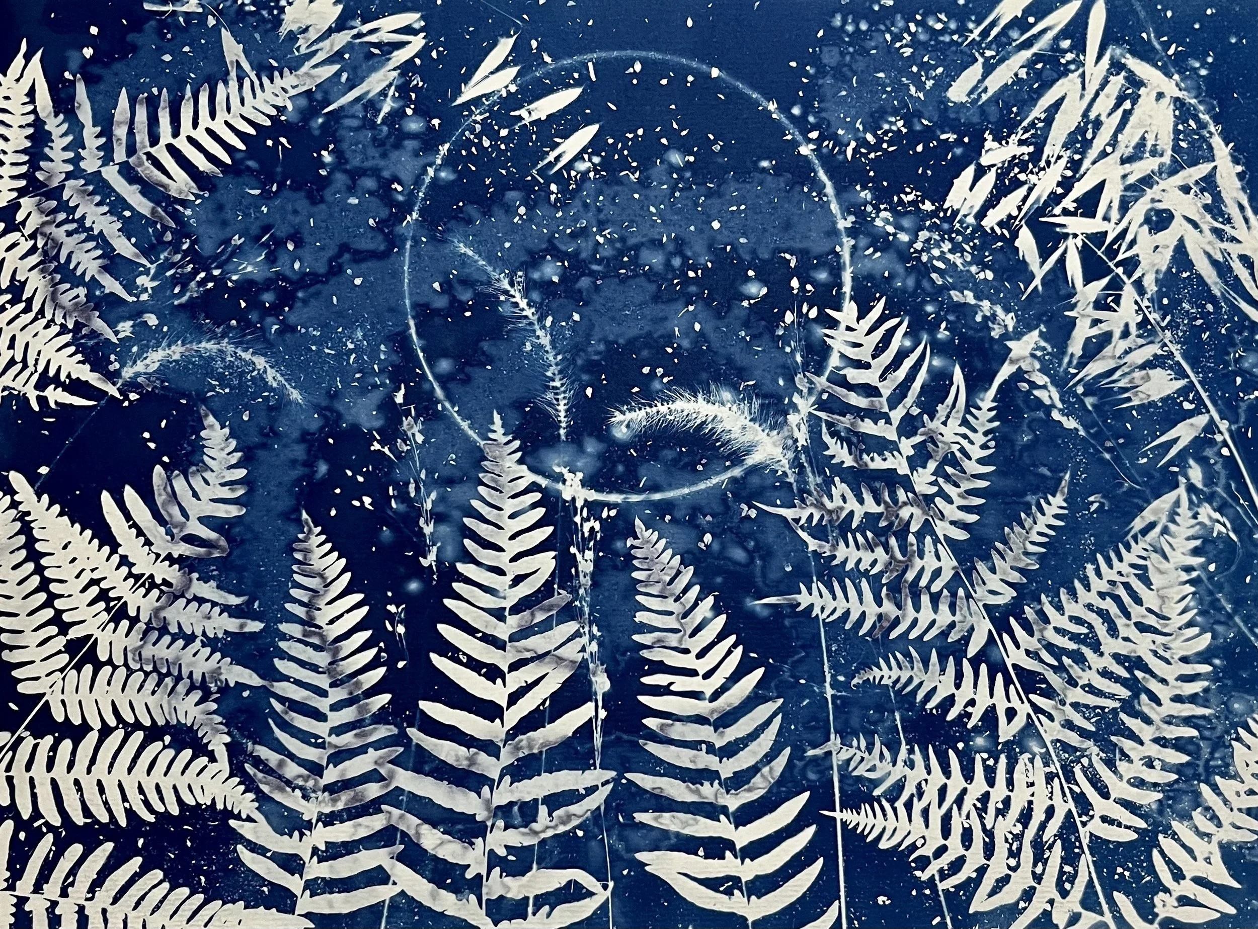 Sleepwalking 
11”x15”
 Botanical Cyanotype on watercolor paper created with sea salt, herbs, spices, collections from the woods, crafted during the witching hours 
SOLD