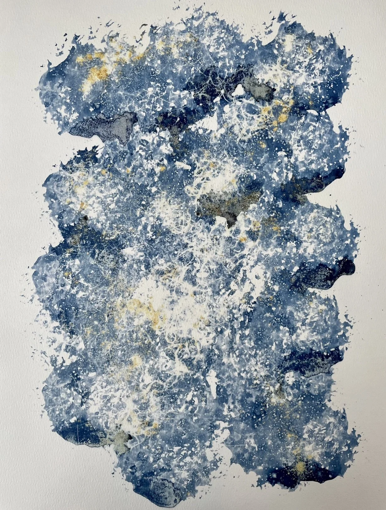 High Tide
(Spring Returns with a Whisper: Pisces Season Collection)
11”x15”
Botanical Cyanotype on watercolor paper
created with sea salt, collections from the garden and sea
$150 (unframed)