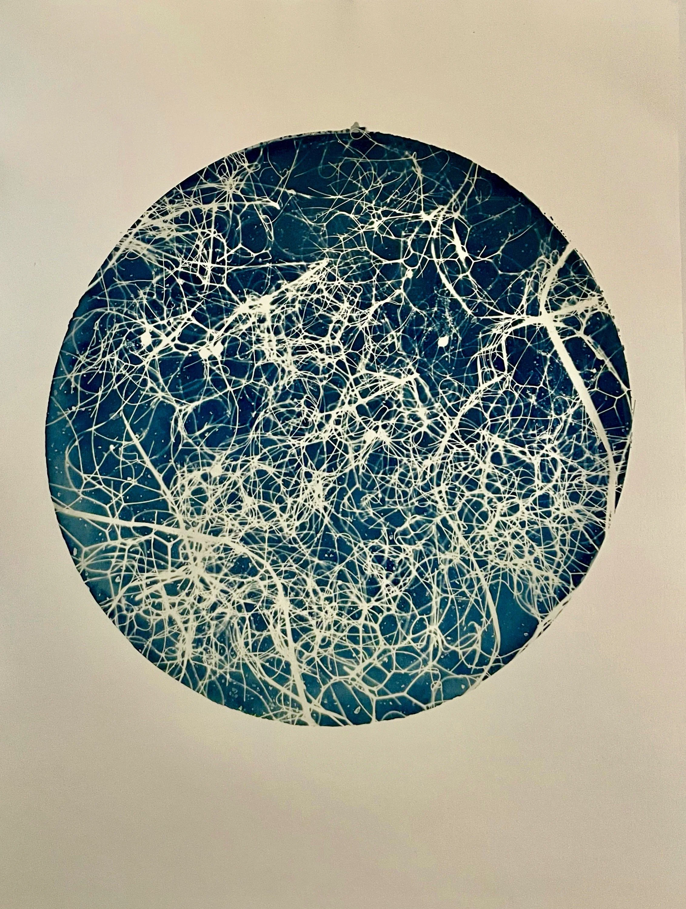 Black Holes May Indeed Have Hair
(Cosmic Garden 2022)
9”x12”
Botanical Cyanotype on watercolor paper
created with sea salt, collections from the garden 
$115 (framed)