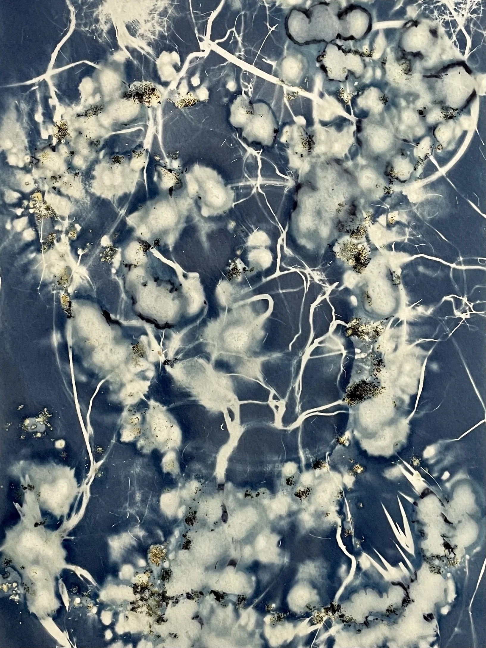 The Bends artwork and accompanying poem published in Moral Crema 2023