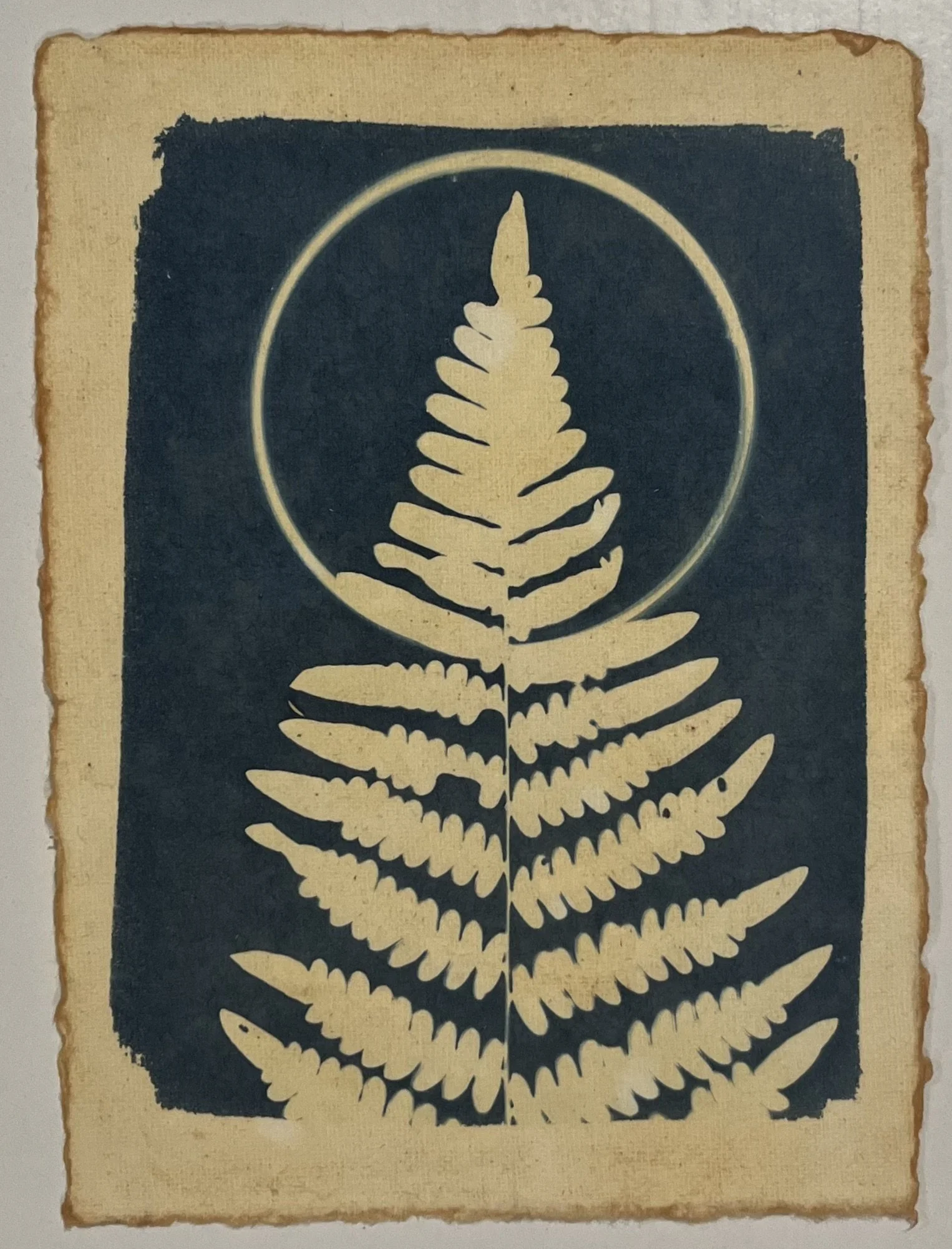 Magic Fern
5"x7"
Cyanotype