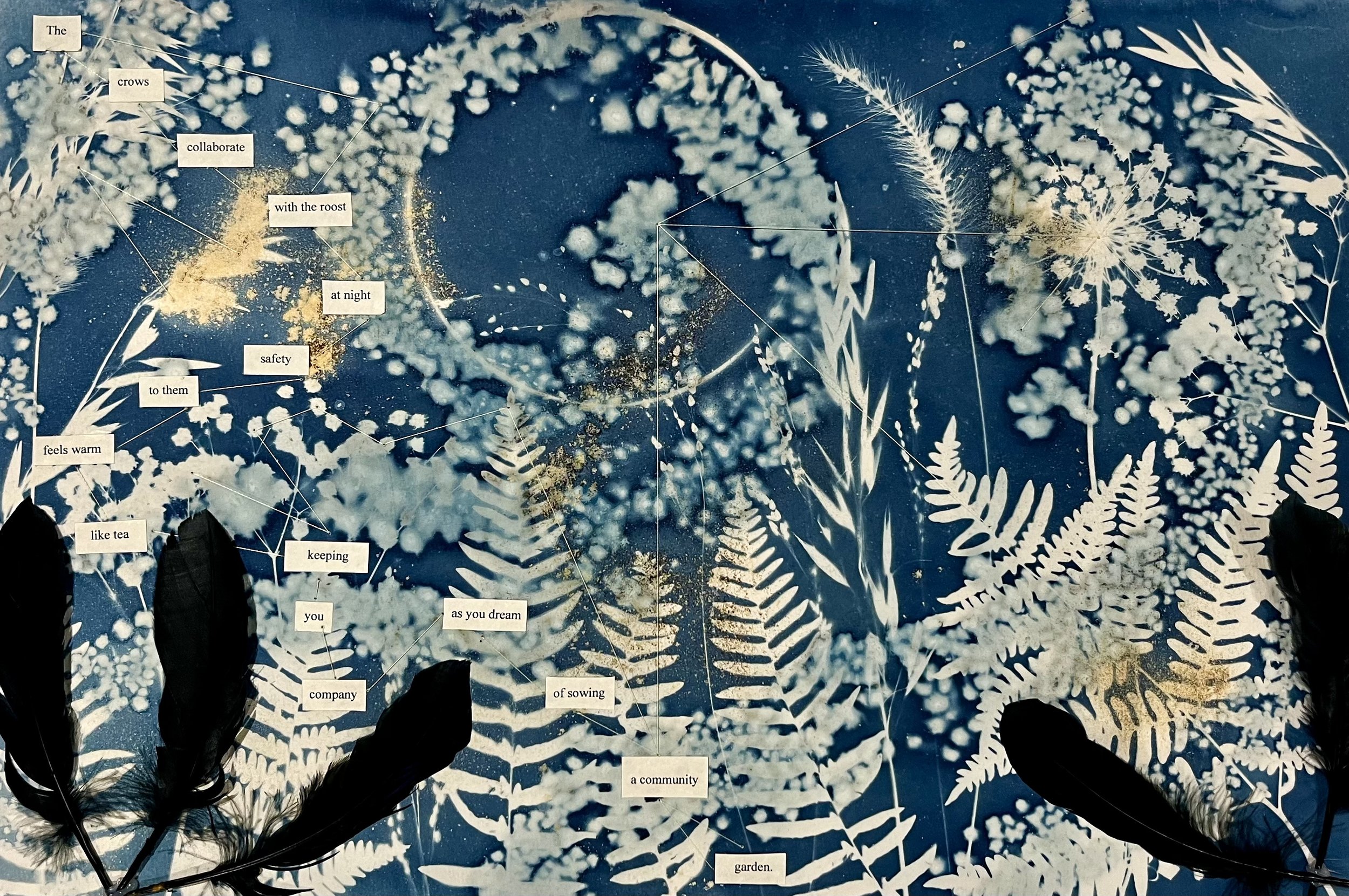 "Garden as Community" Mixed Media Cyanotype
Featured in Roots & Routes Group Exhibition at Venture Cafe / CIC Providence, RI On View: Nov 21, 2024 and featured in We All Live Here Together exhibition by Creature Conserve at the Providence Public Libr