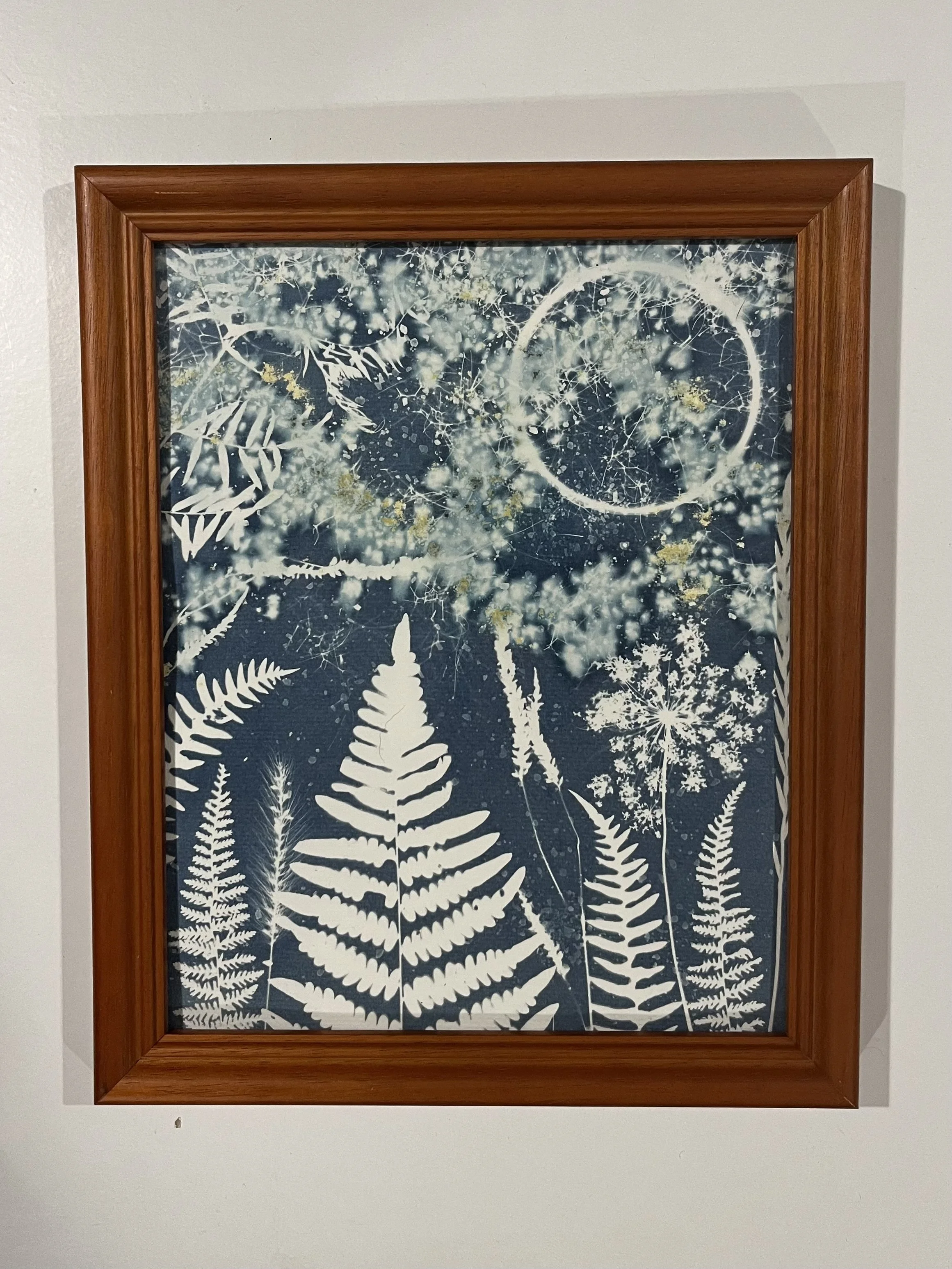 Full Moon Garden 8"x10" cyanotype