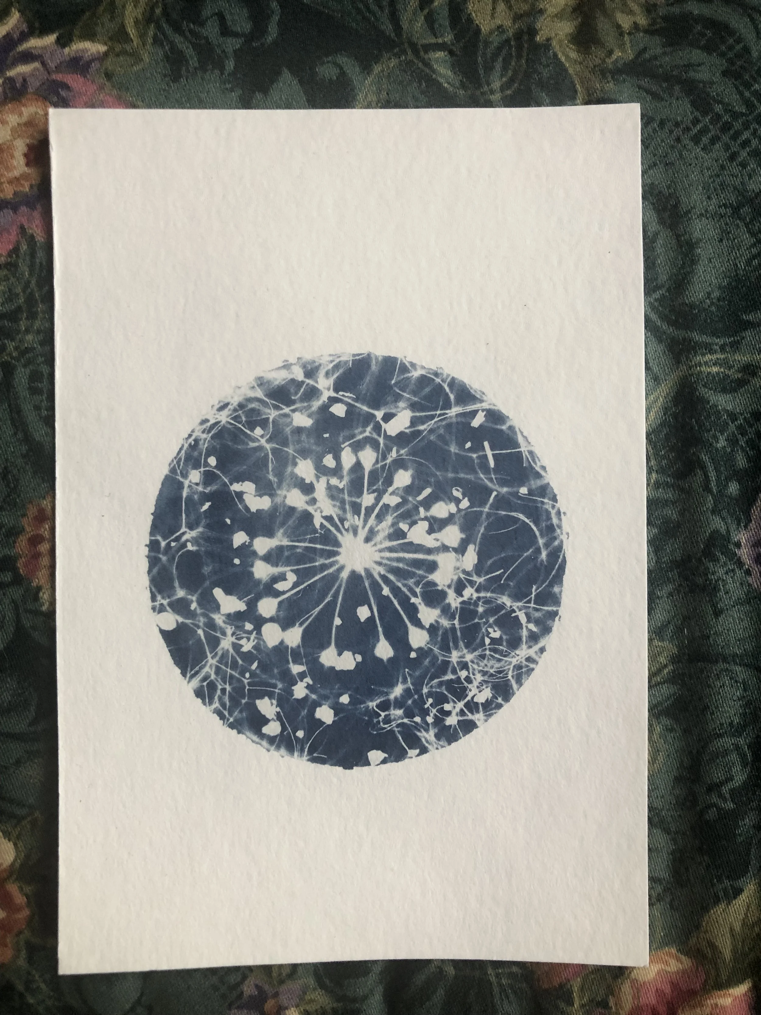 Orb
4"x6"
$10