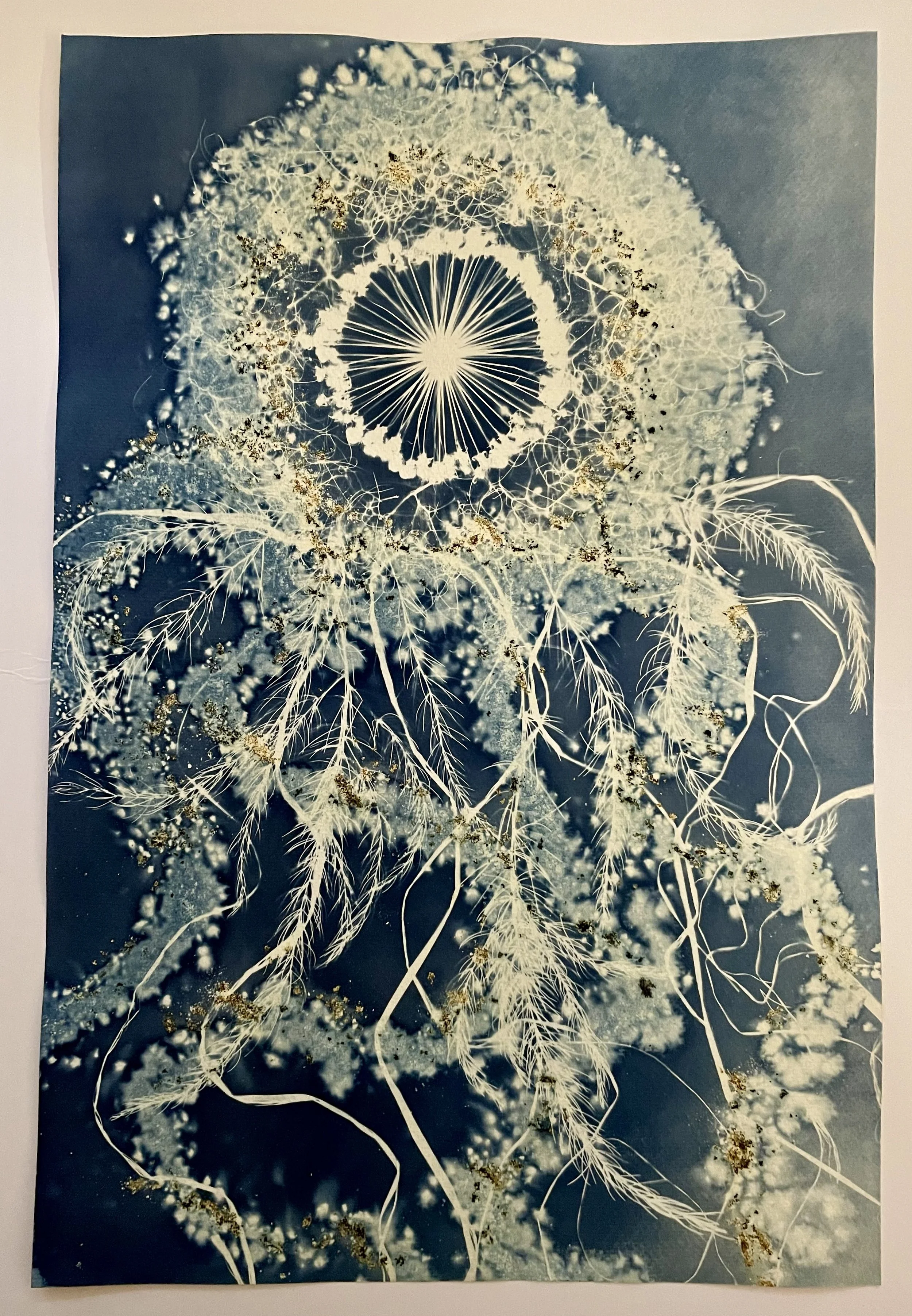 We Come in Peace
(Cosmic Garden 2022)
12"x18"
Botanical Cyanotype on watercolor paper crafted with collections from the garden, sea salt, turmeric
SOLD