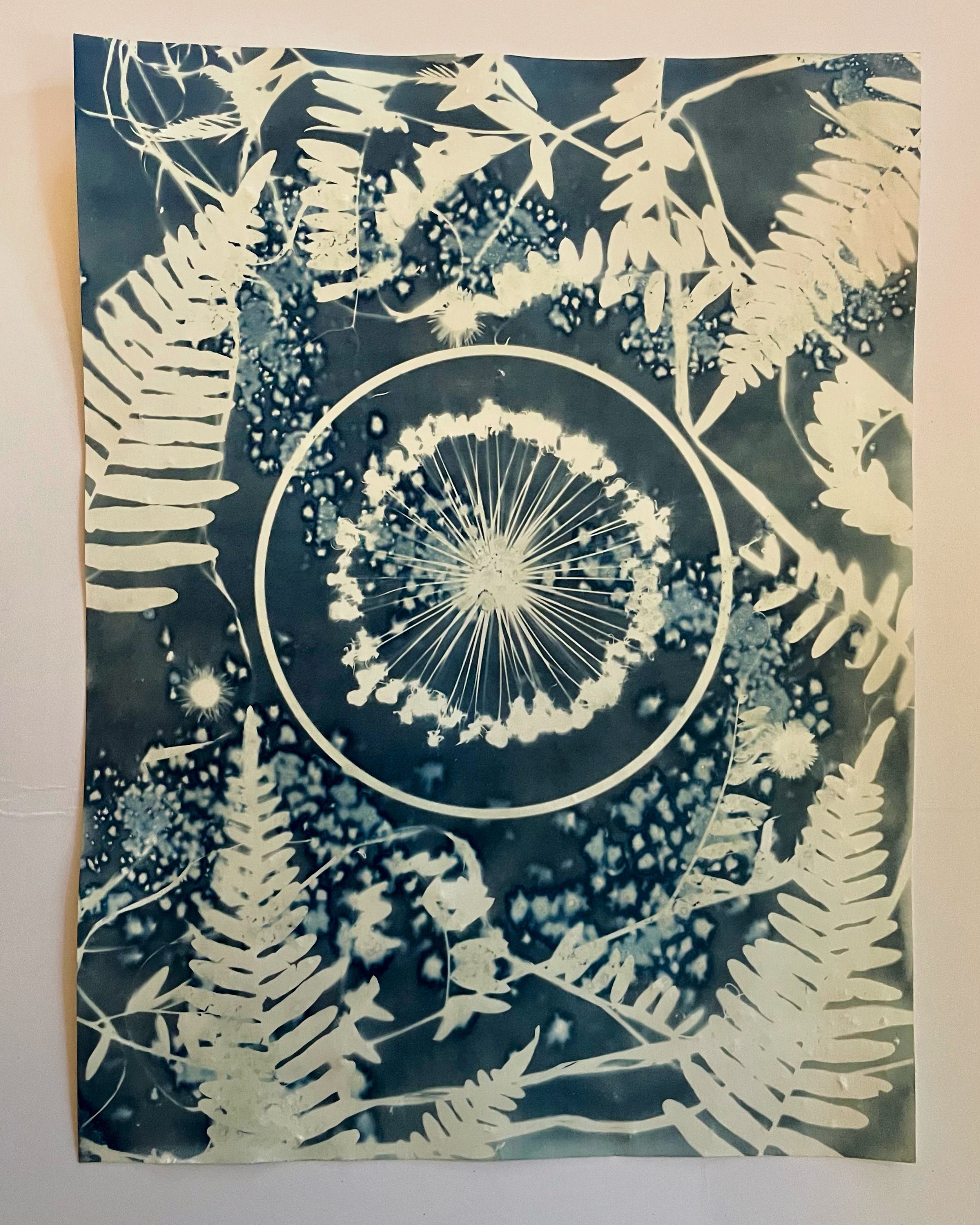 Cosmic Intelligence
(Cosmic Garden 2022)
9”x12”
Botanical Cyanotype on watercolor paper
created with sea salt, collections from the garden
$200 (framed)