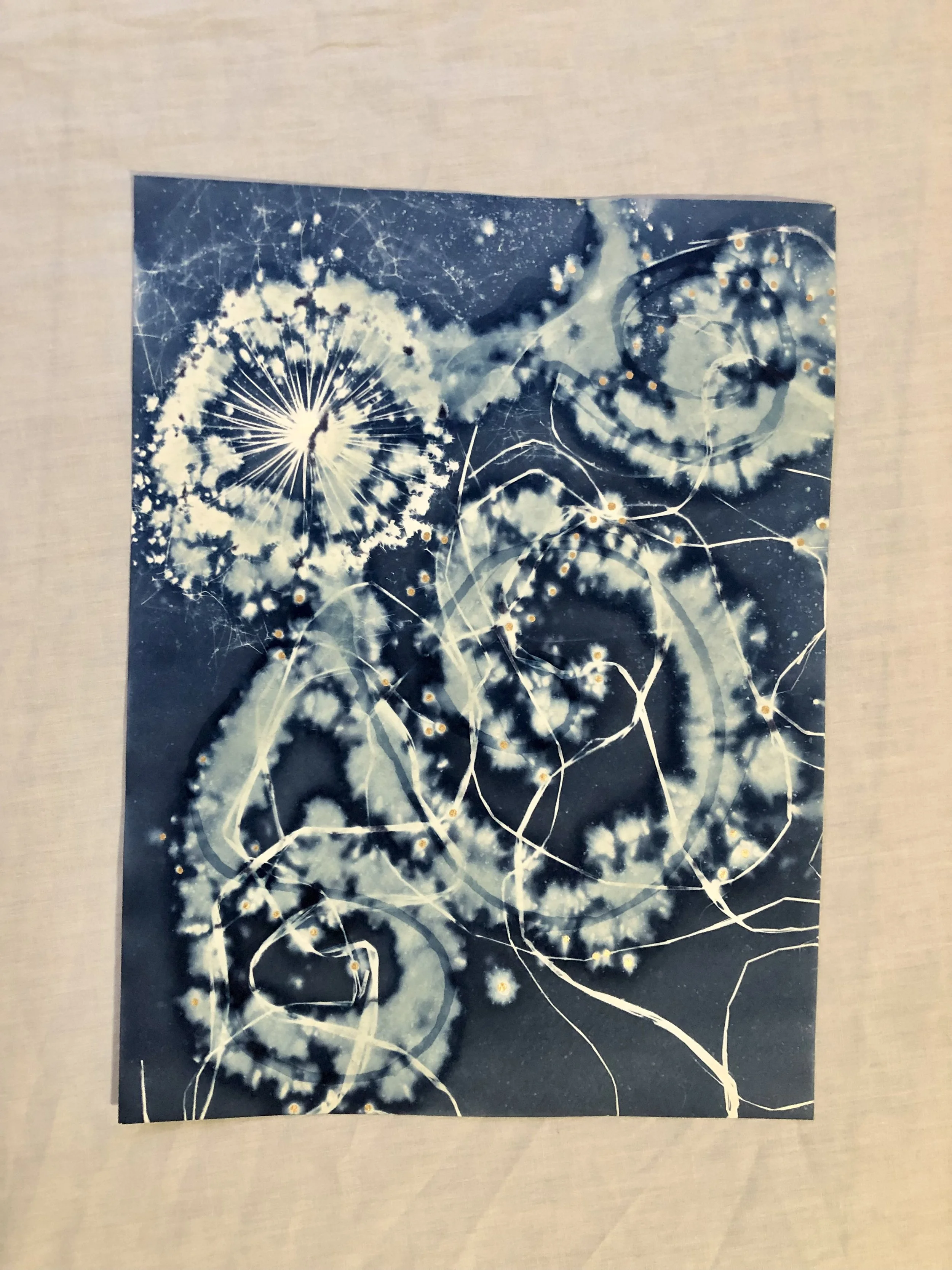 Nightmare Jellyfish
(Dreams from the Deep: 2023)
9”x12”
Cyanotype on watercolor paper, created with foraged botanicals and plant roots from the garden and woods, sea salt, vinegar, acrylic paint 
$165 (framed)