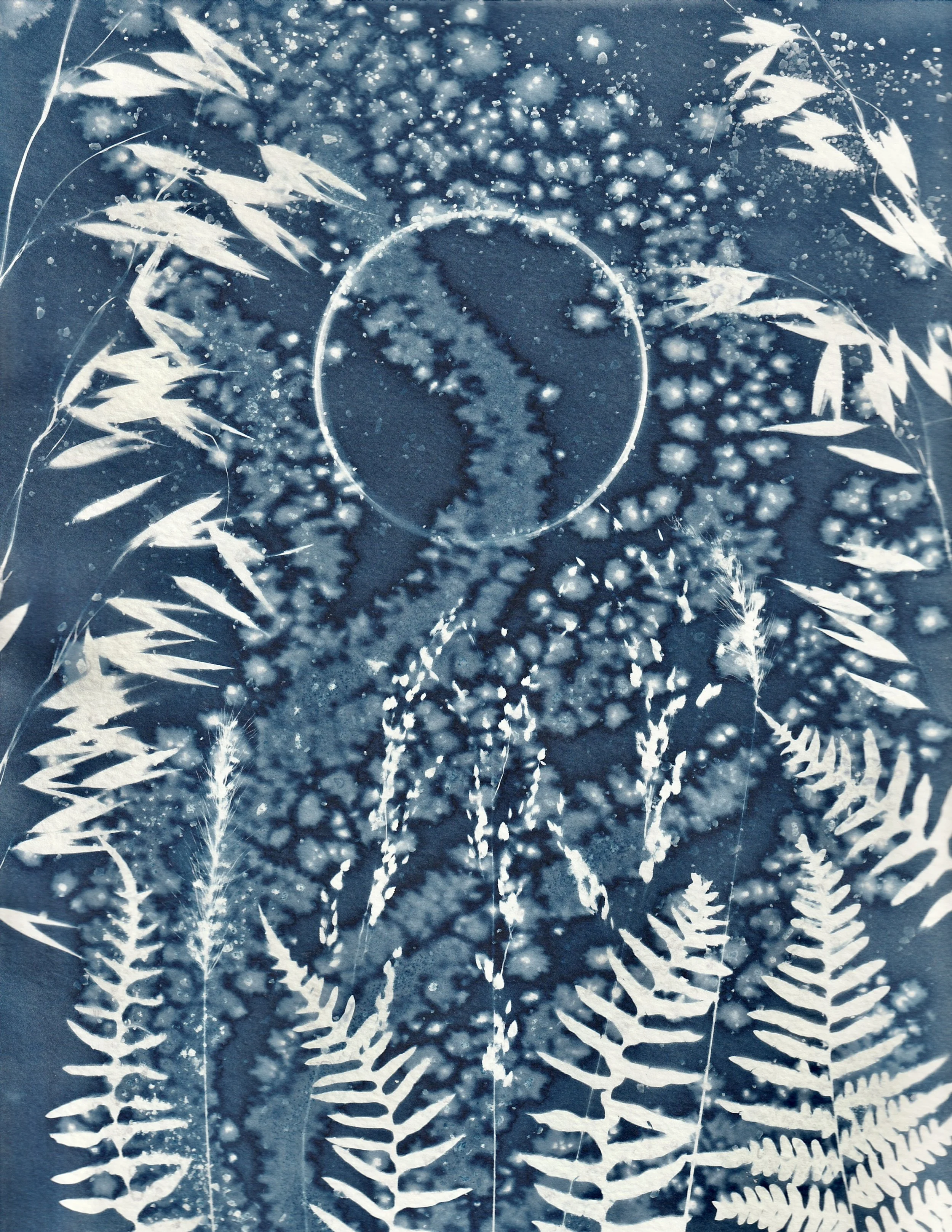 Umbraphile 
9”x12”
A solar-eclipse aficionado; a person who will do almost anything, and travel almost anywhere, to see totality. Another term for an umbraphile is "eclipse chaser.”
