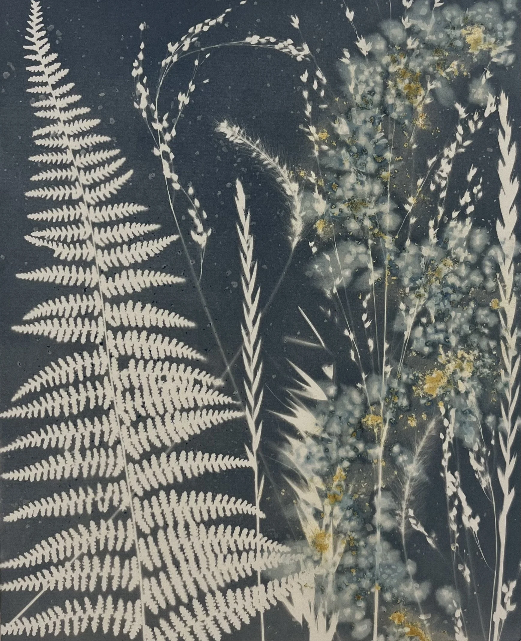 Walking with Leo Season
8"x10"
Cyanotype
