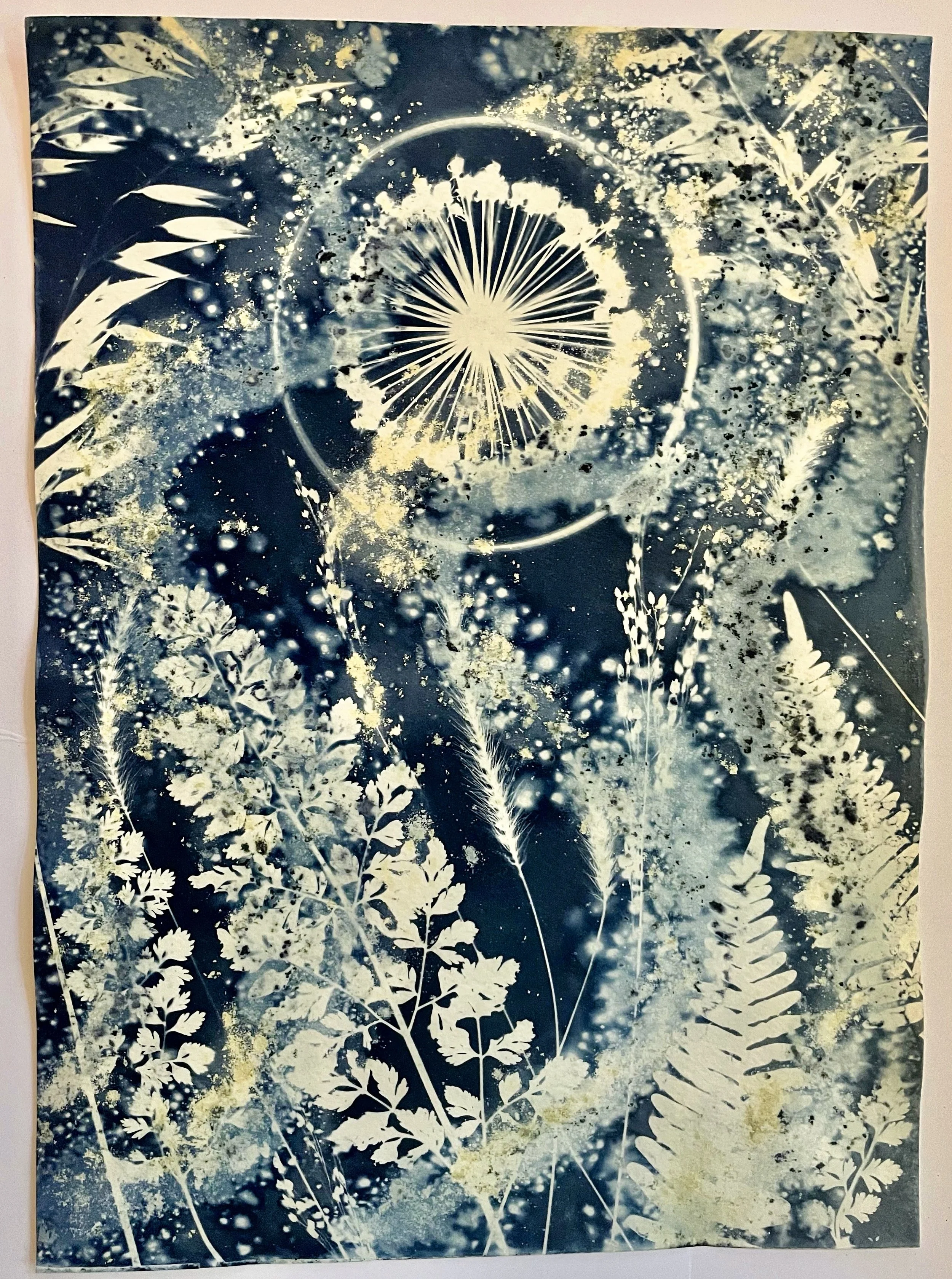Divine Intervention 
(Cosmic Garden 2022)
11”x15”
Botanical Cyanotype on watercolor paper
created with sea salt, turmeric, collections from the garden 
SOLD