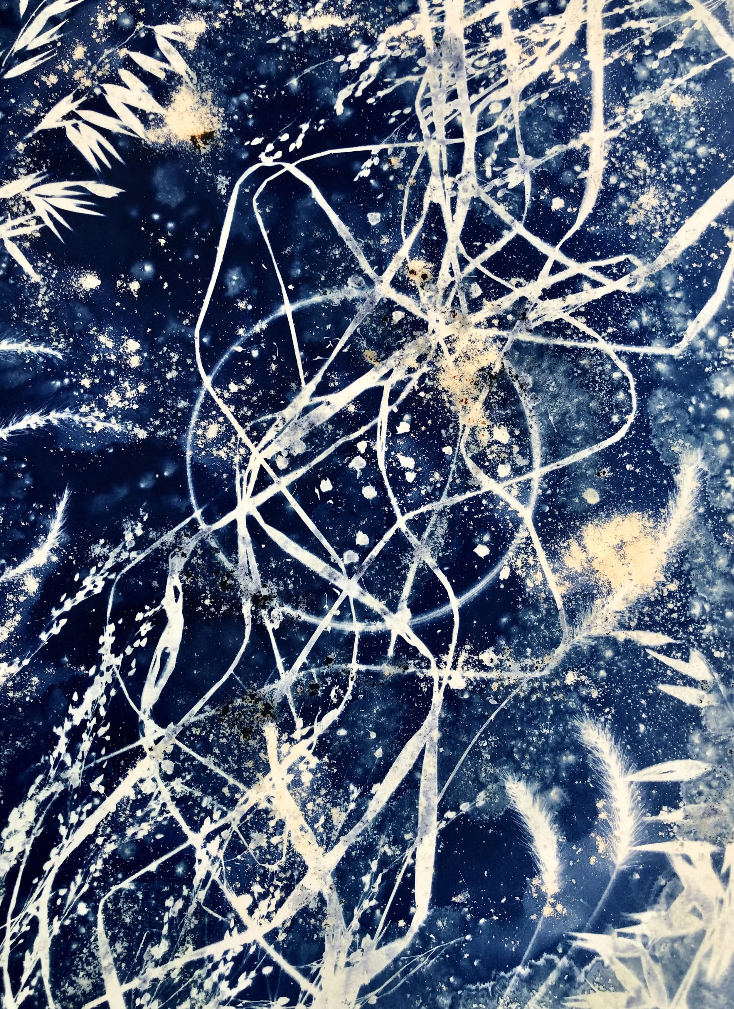 Beyond
12"x18"
Botanical Cyanotype on watercolor paper created with sea salt, collections from the garden
SOLD