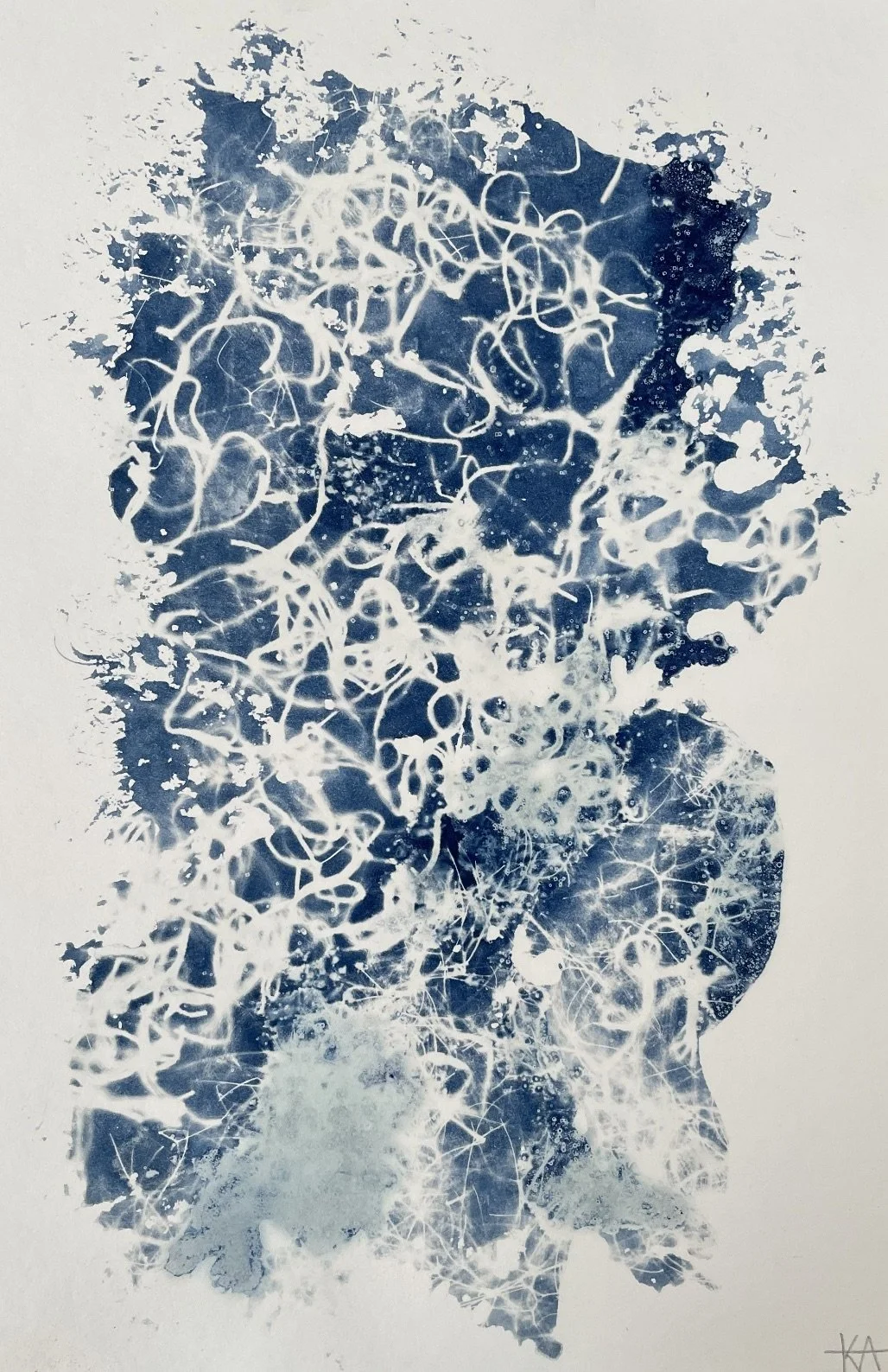Last Night 
(Spring Returns with a Whisper: Pisces Season Collection 2022)
6"x9" 
Botanical Cyanotype on watercolor paper
created with sea salt, collections from the garden and sea
$25 (unframed)