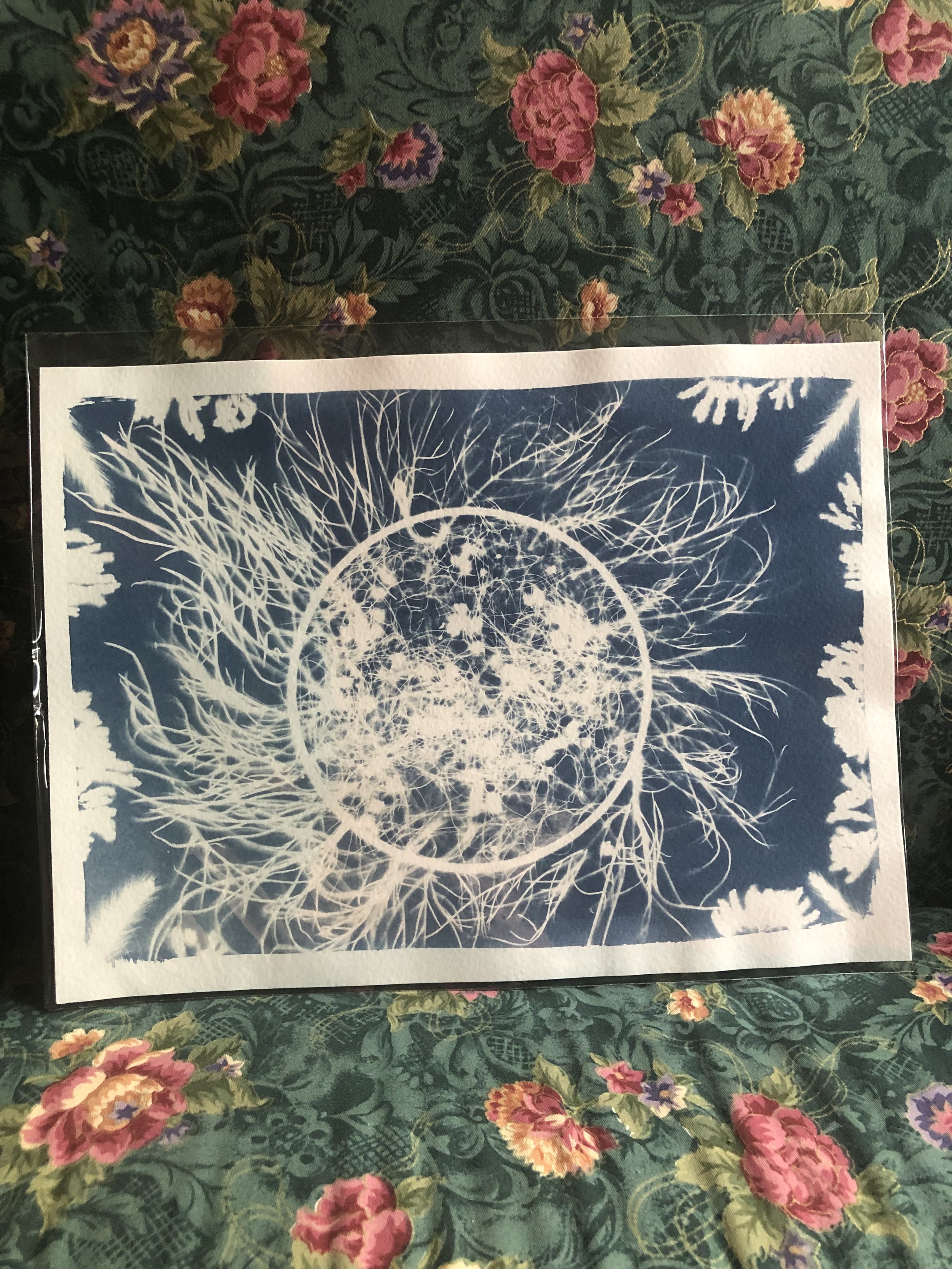 Dream Messenger
9"x12"
sold