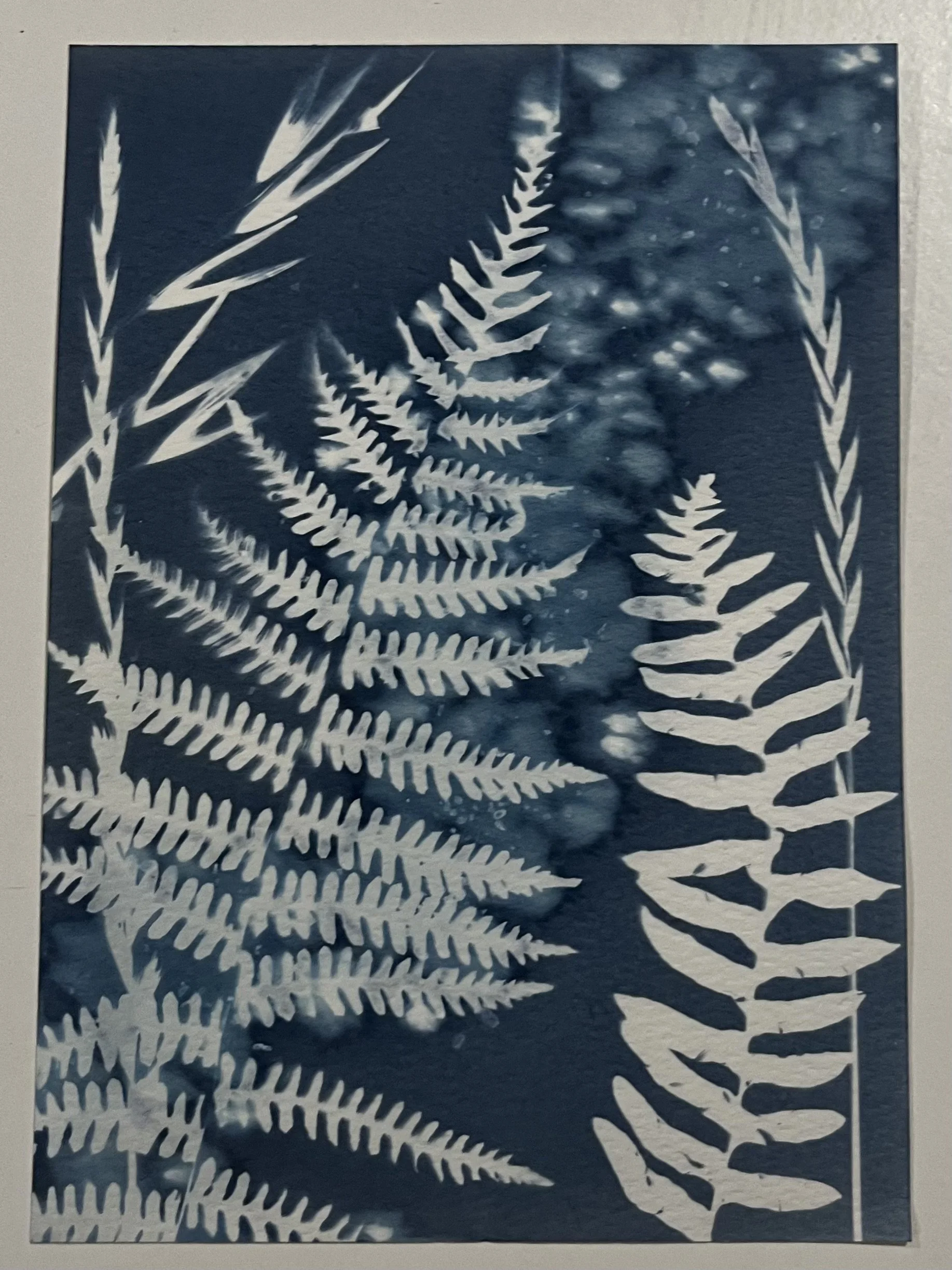 Hanging with Friends in Gemini Season
5"x7"
Cyanotype
