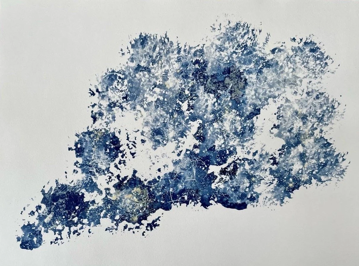 Warmer Wonder
(Spring Returns with a Whisper: Pisces Season Collection)
11”x15”
Botanical Cyanotype on watercolor paper
created with sea salt, collections from the garden and sea
$250 (framed)
