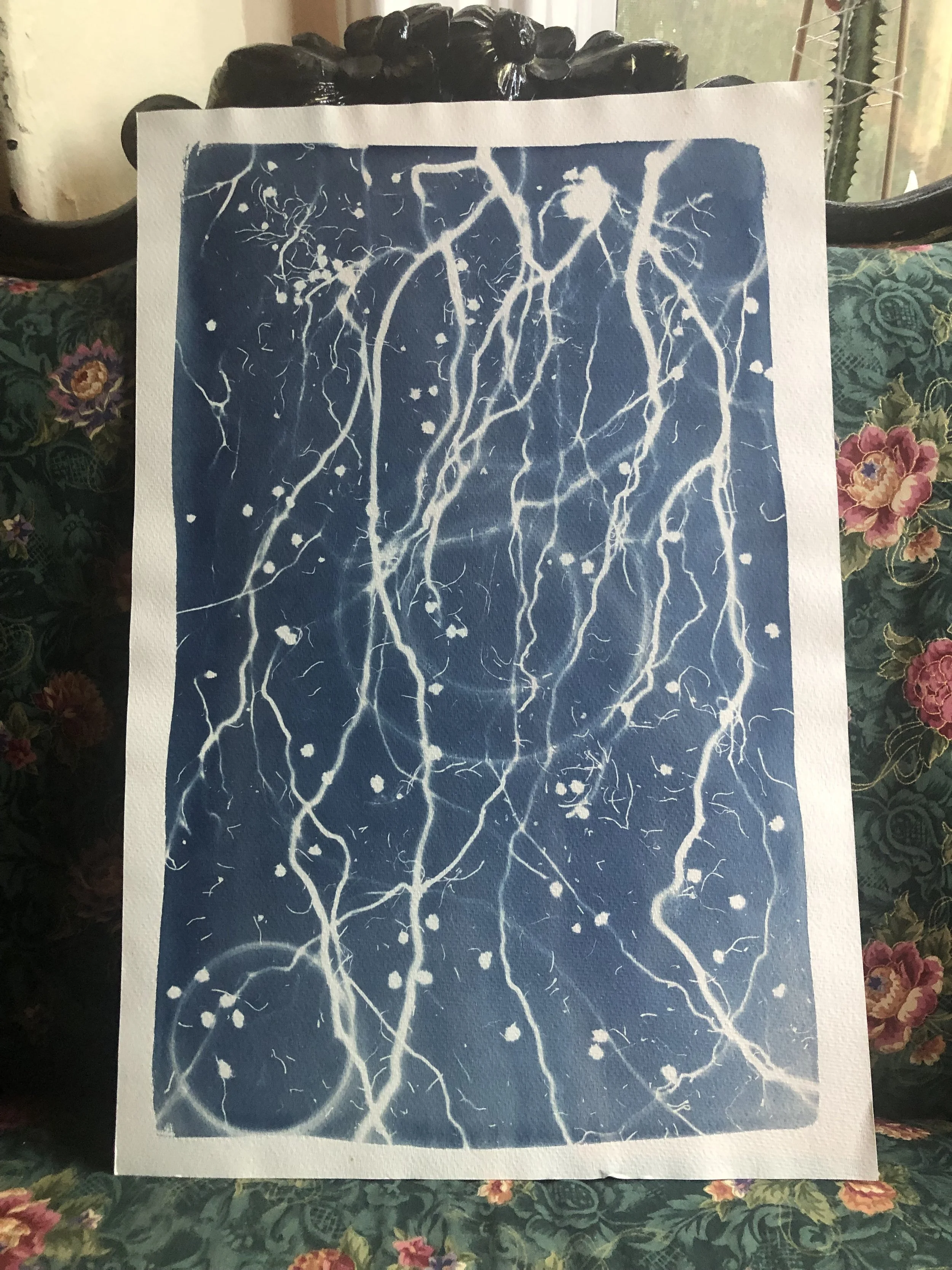 Electric Dreams
12"x18"
$85 (unframed)