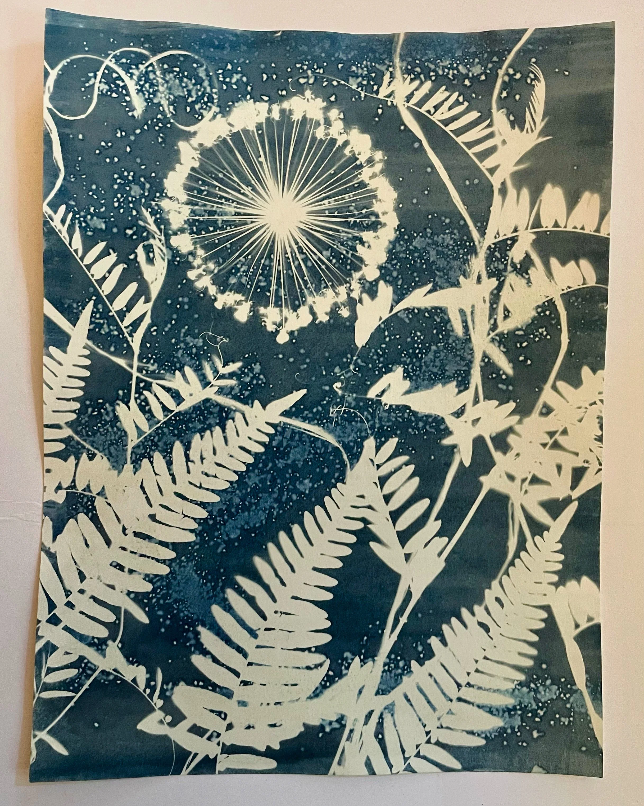 Quantum Entanglement 
(Cosmic Garden 2022)
9”x12”
Botanical Cyanotype on watercolor paper
created with sea salt, collections from the garden 
SOLD
