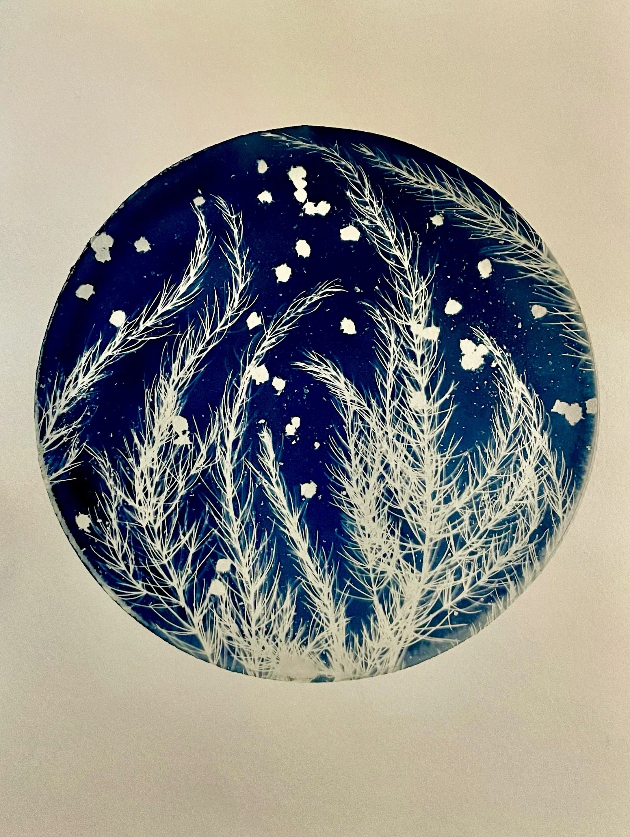 Green Planet 
(Cosmic Garden 2022)
9”x12”
Botanical Cyanotype on watercolor paper
created with sea salt, collections from the garden 
SOLD