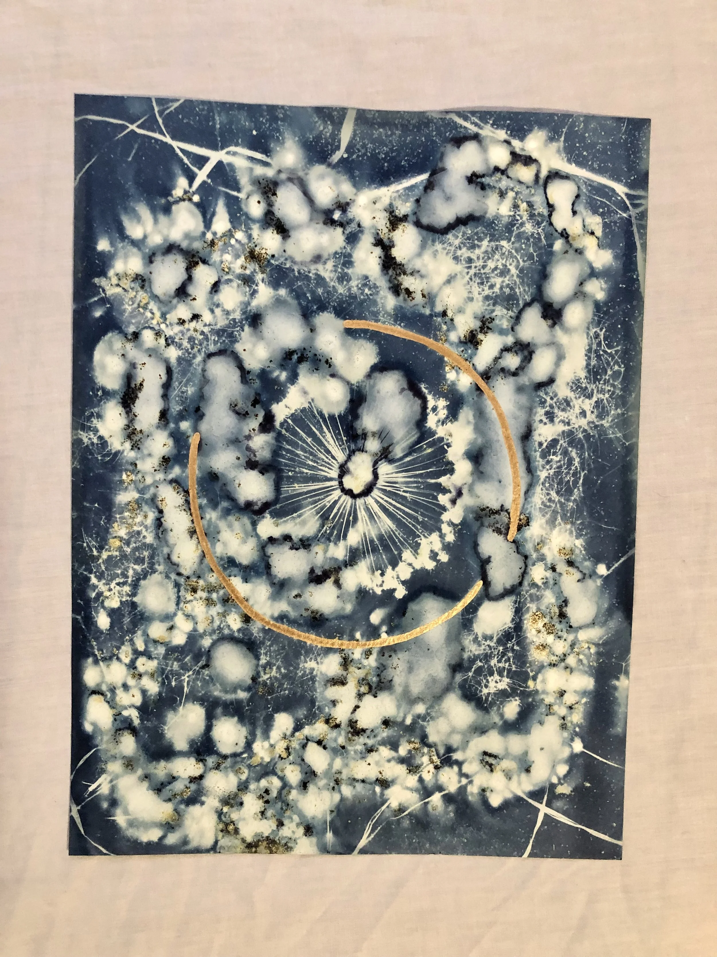 Wish Monolith
(Dreams from the Deep: 2023)
9”x12”
Cyanotype on watercolor paper, created with foraged botanicals and plant roots from the garden and woods, sea salt, vinegar, acrylic paint $165 (framed)