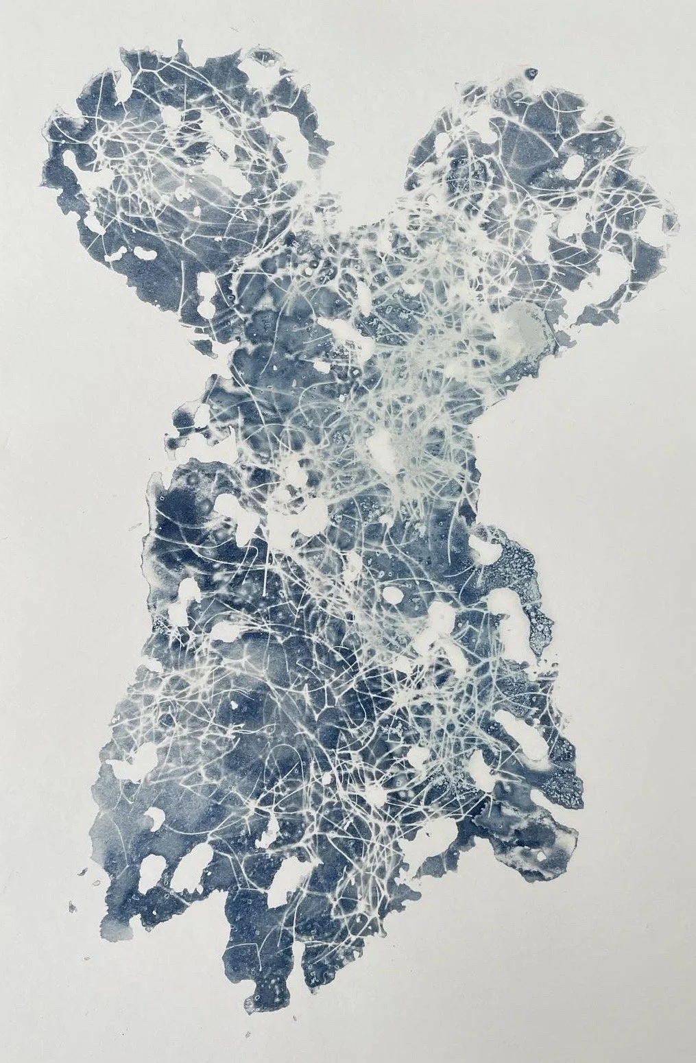 Whale Song
(Spring Returns with a Whisper: Pisces Season Collection 2022)
6"x9" 
Botanical Cyanotype on watercolor paper
created with sea salt, collections from the garden and sea
$25 (unframed)
