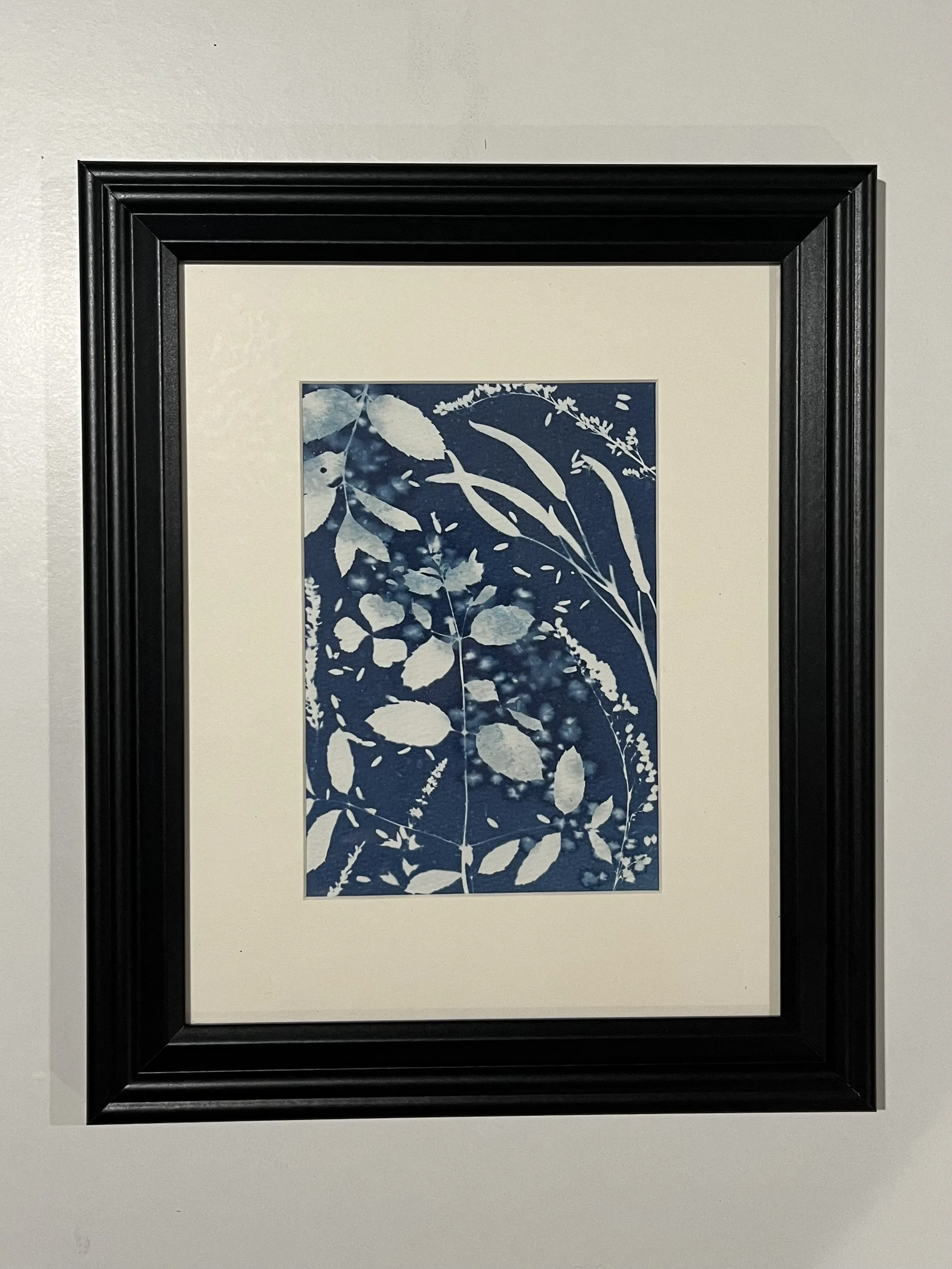 Magic Herbs 5"x7" Cyanotype