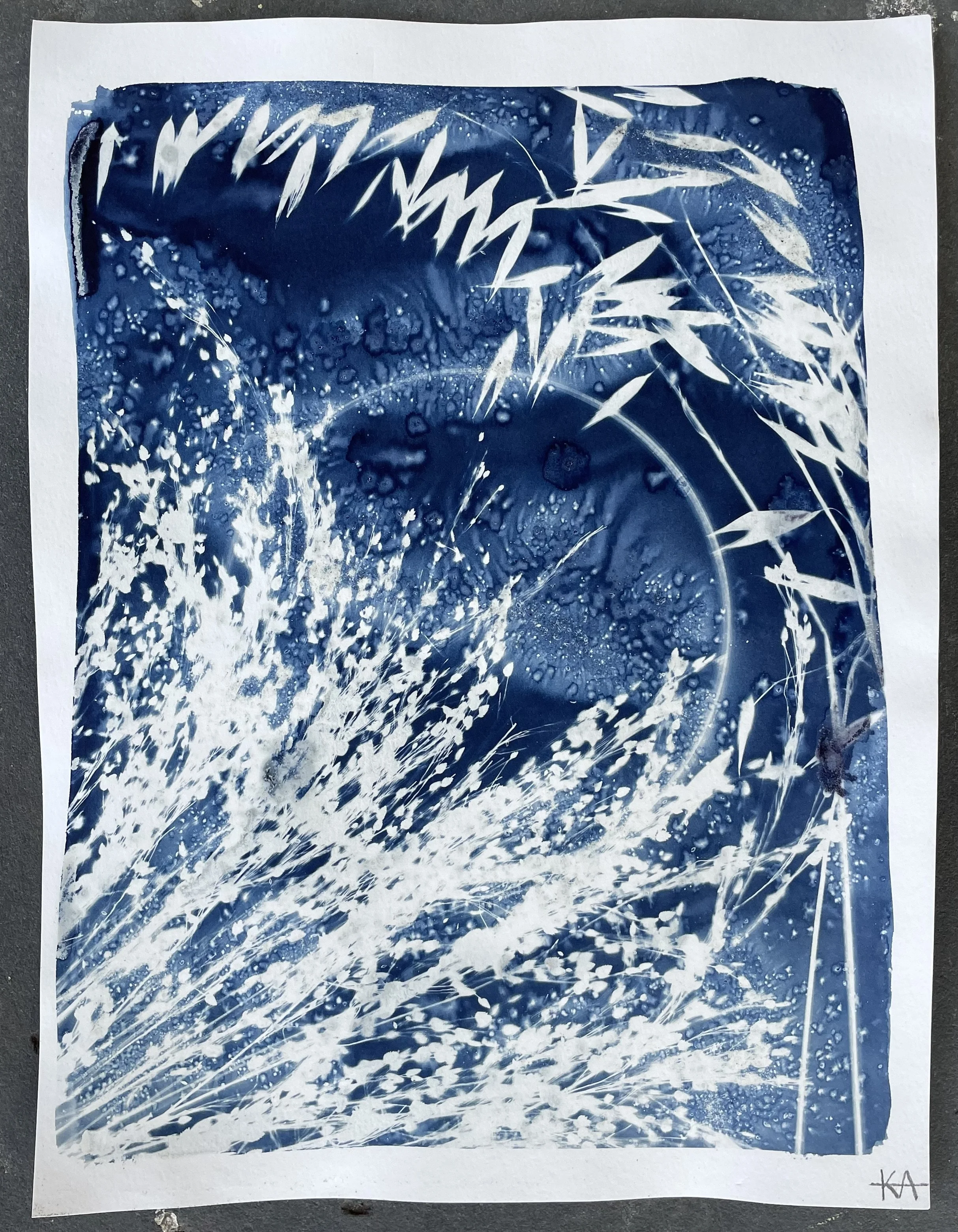 Luna Awakens
9"x12"
Botanical Cyanotype on watercolor paper
SOLD 