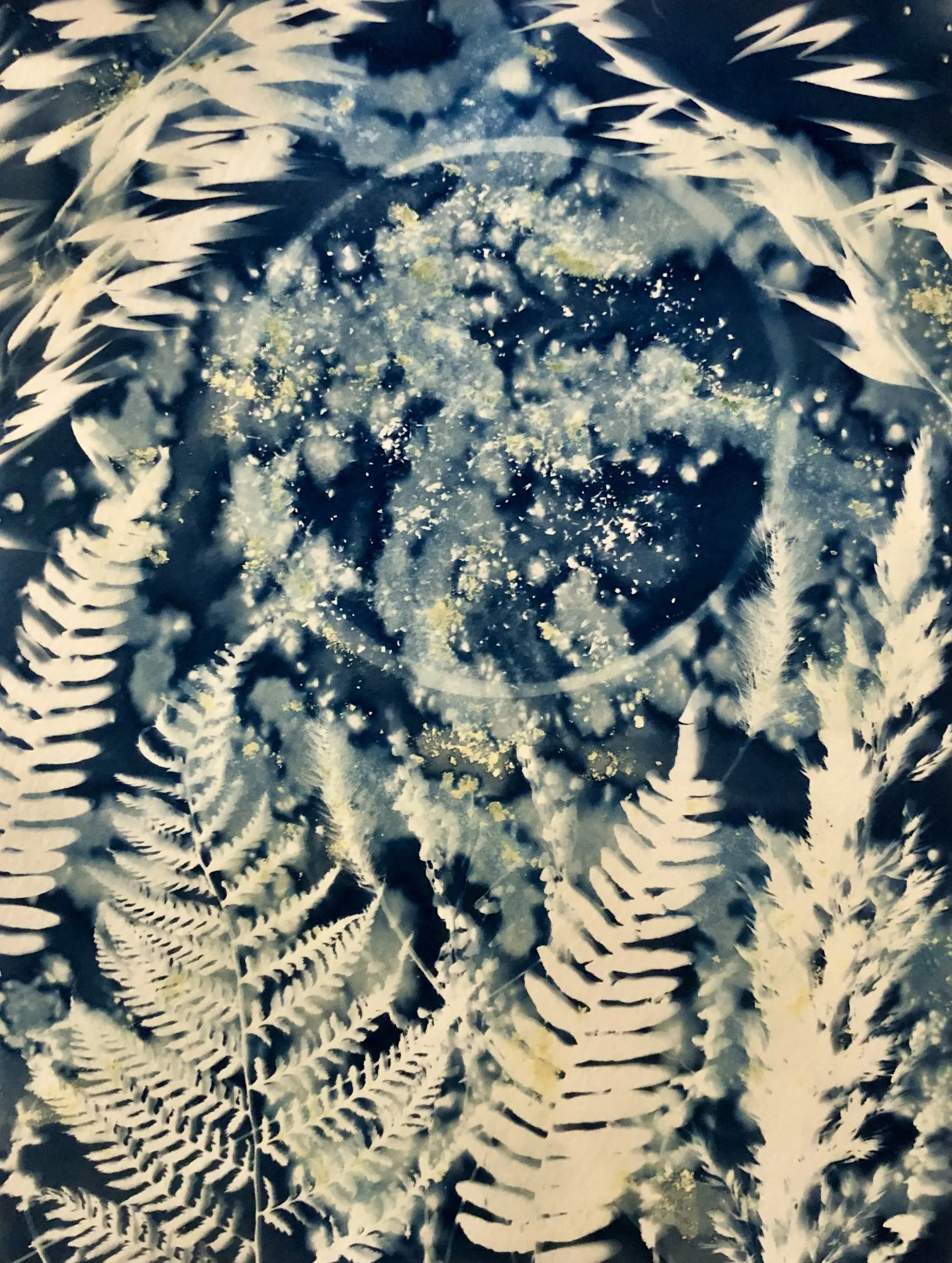 Moon Melody
9”x12”
Botanical Cyanotype on watercolor paper
created with sea salt, collections from the garden 
SOLD