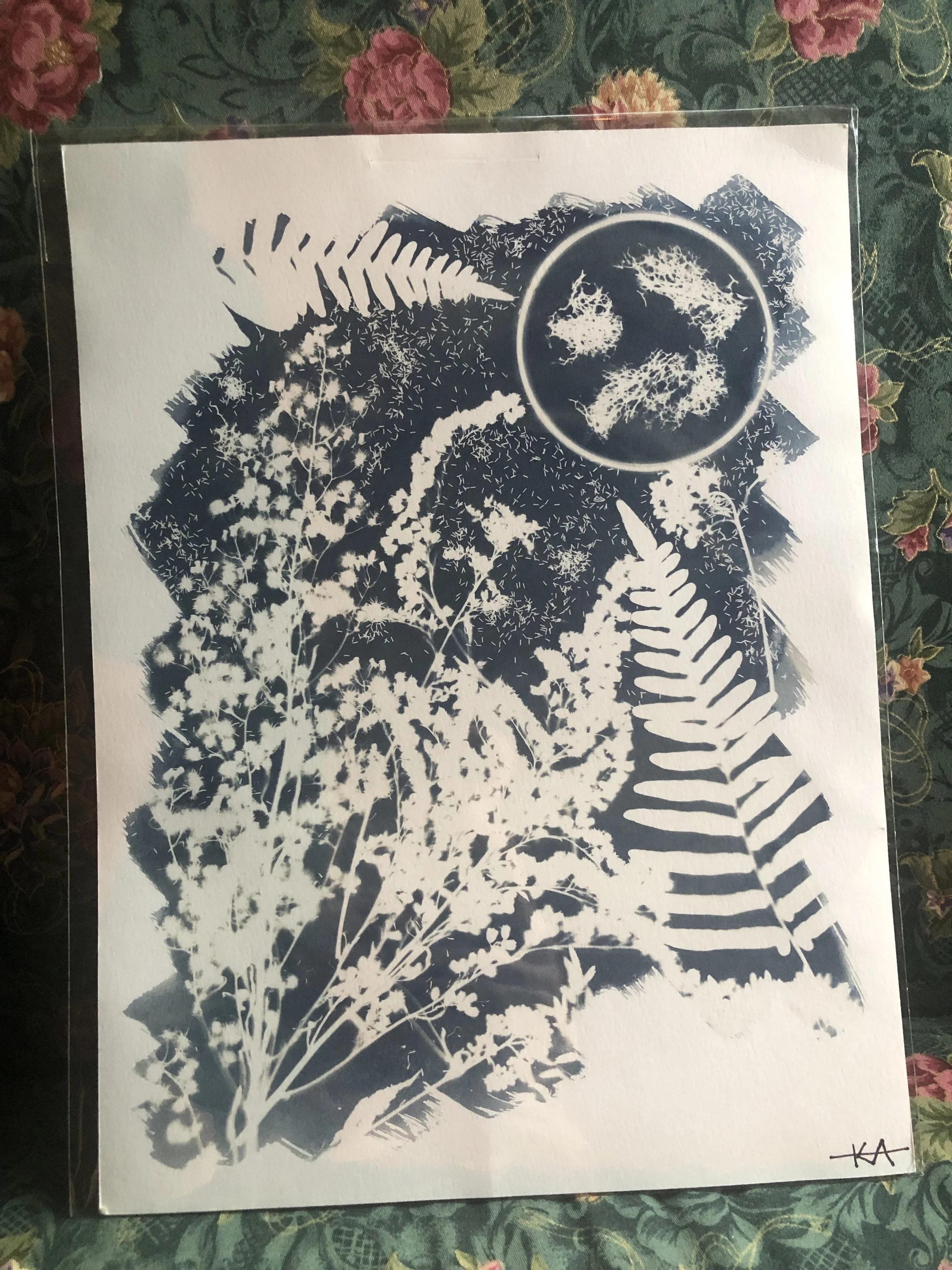 Looking Up
9"x12"
sold