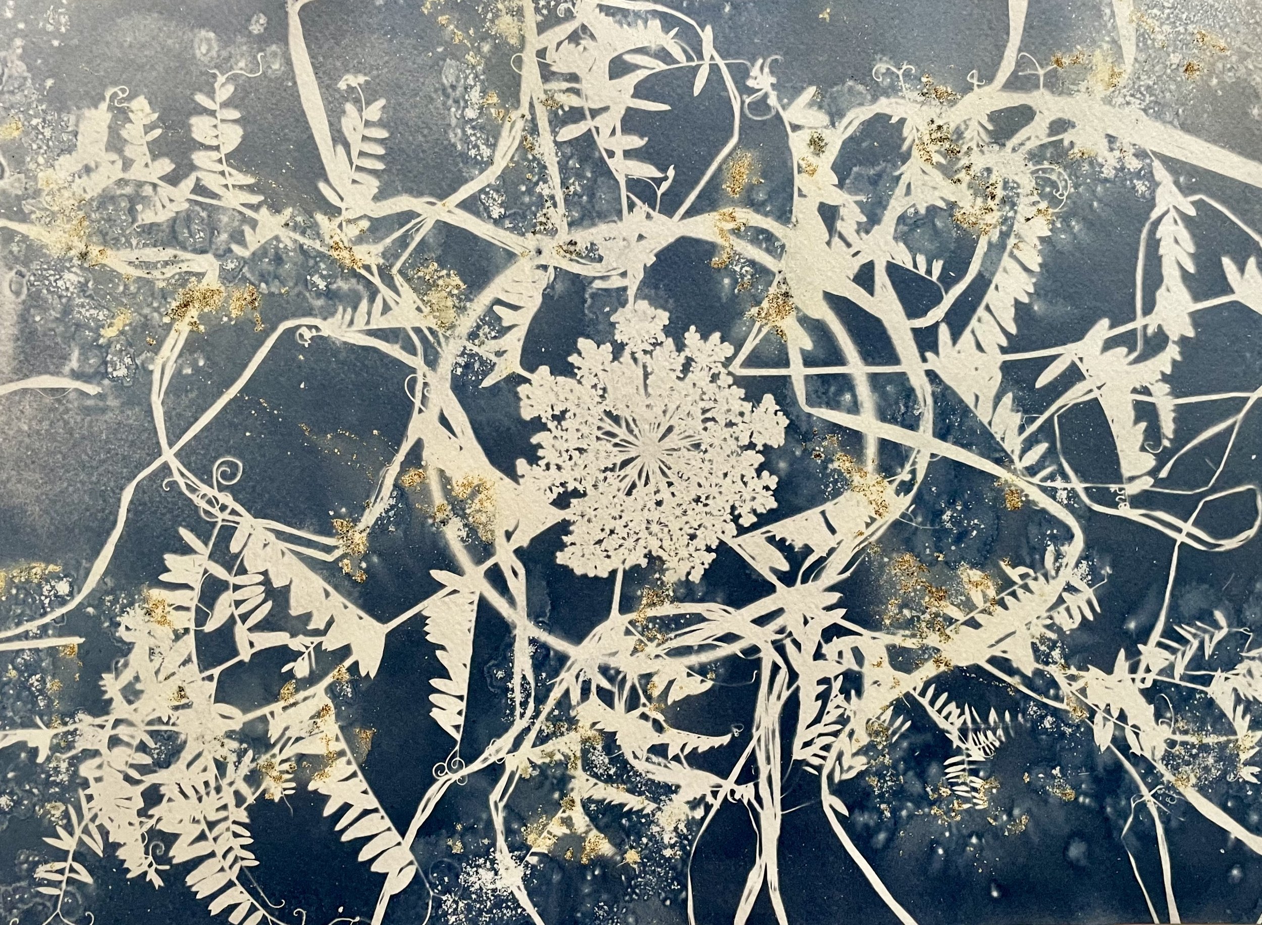 Lucid Longing
11”x15”
Botanical Cyanotype on watercolor paper
created with sea salt and collections from the garden 
$350 (framed) 
