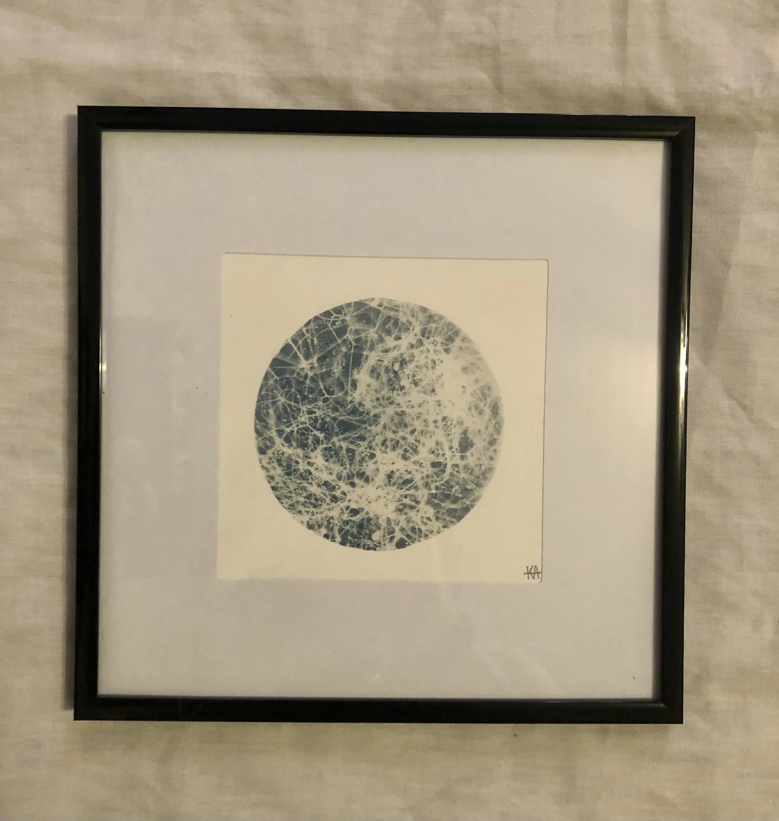 Alien Moon: Galactica
5”x5”
Cyanotype on watercolor paper,
created with collections from the garden
$40 (framed)